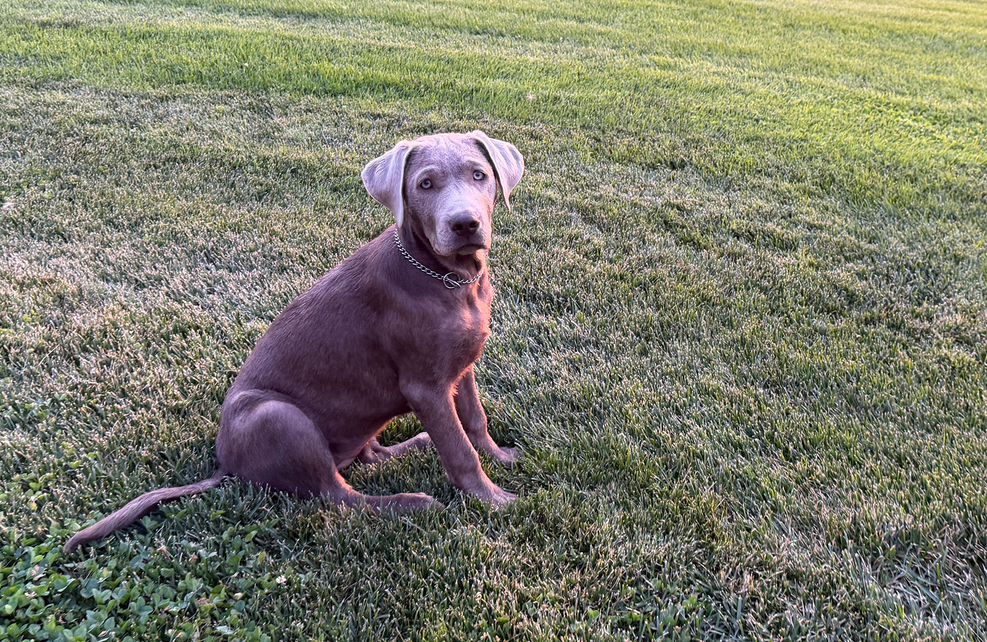 4 months old