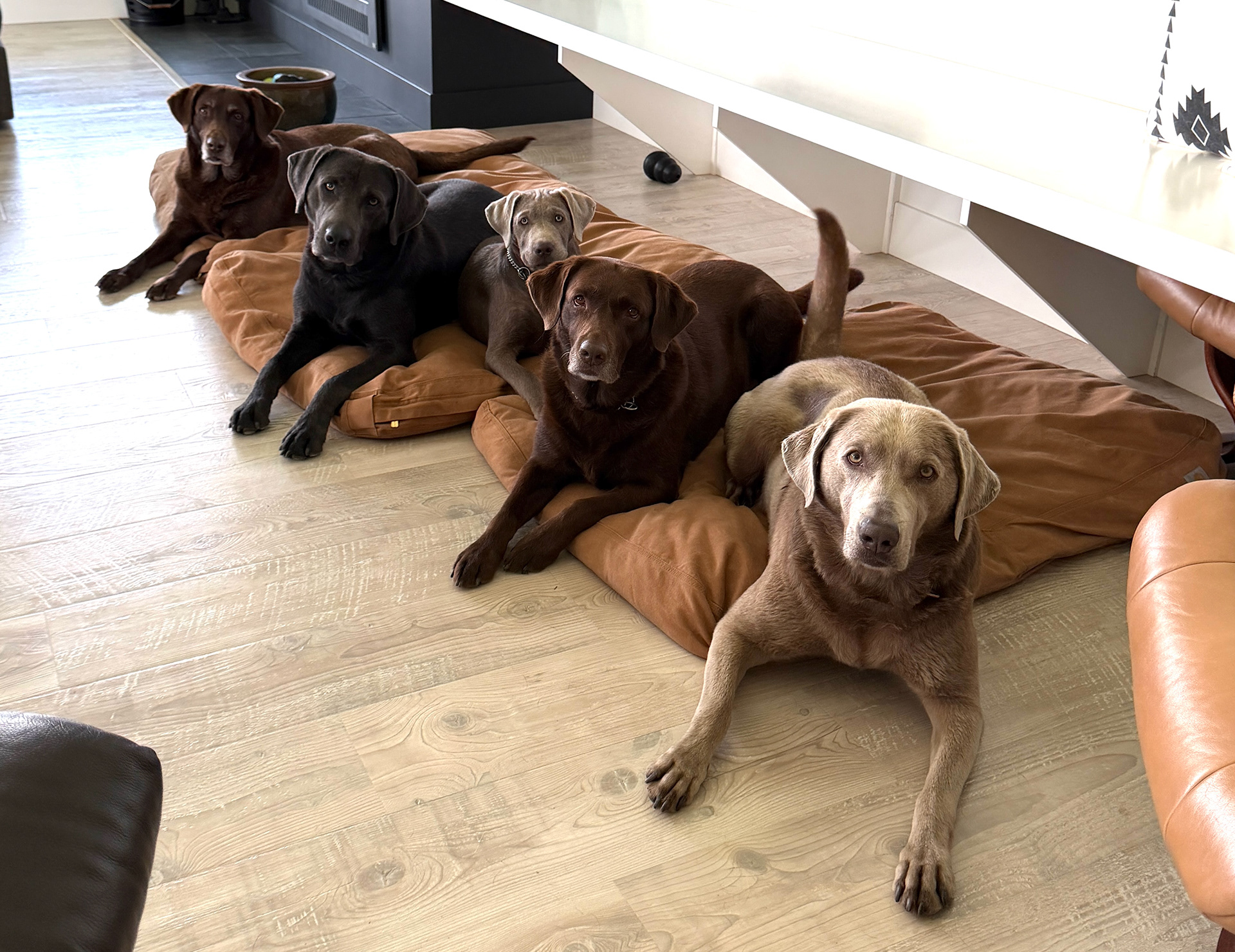 Fits in perfectly with our Pack!