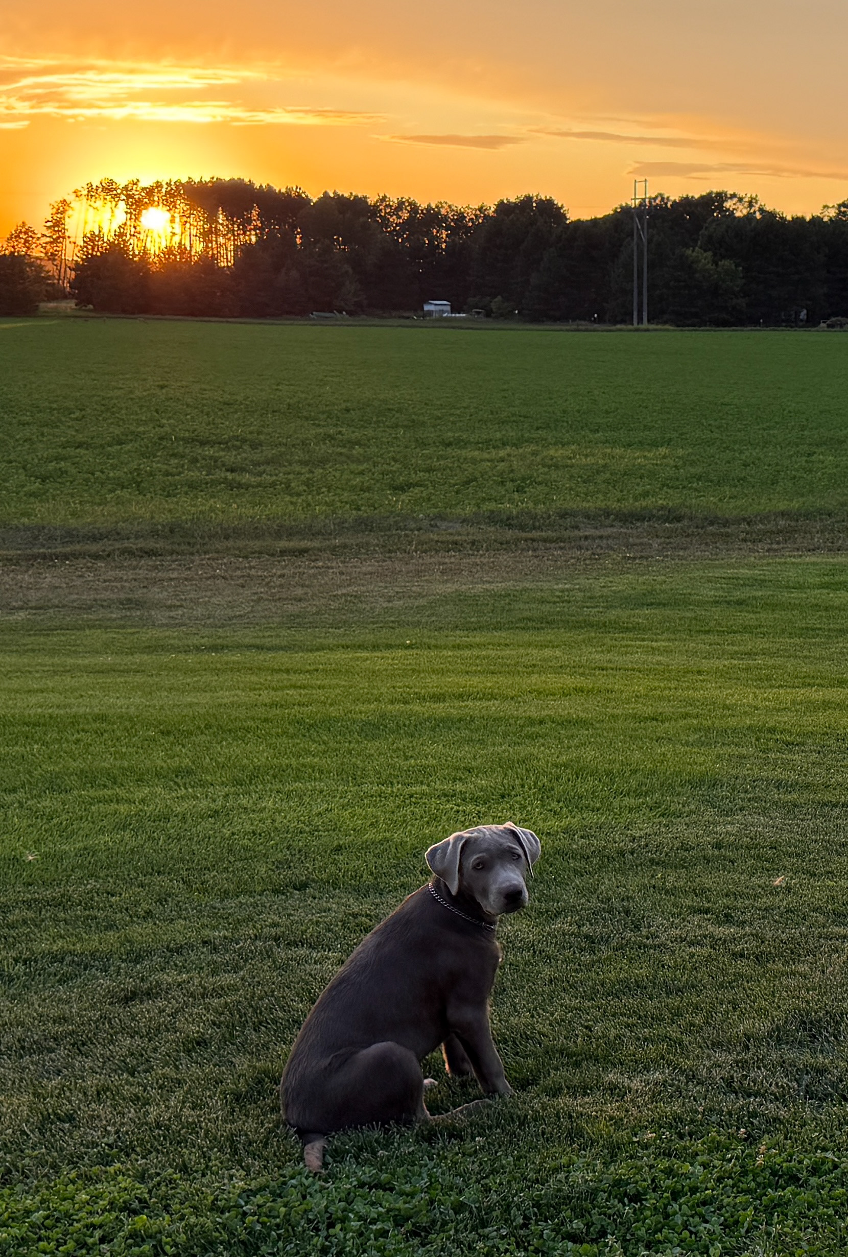 Enjoying the sunset