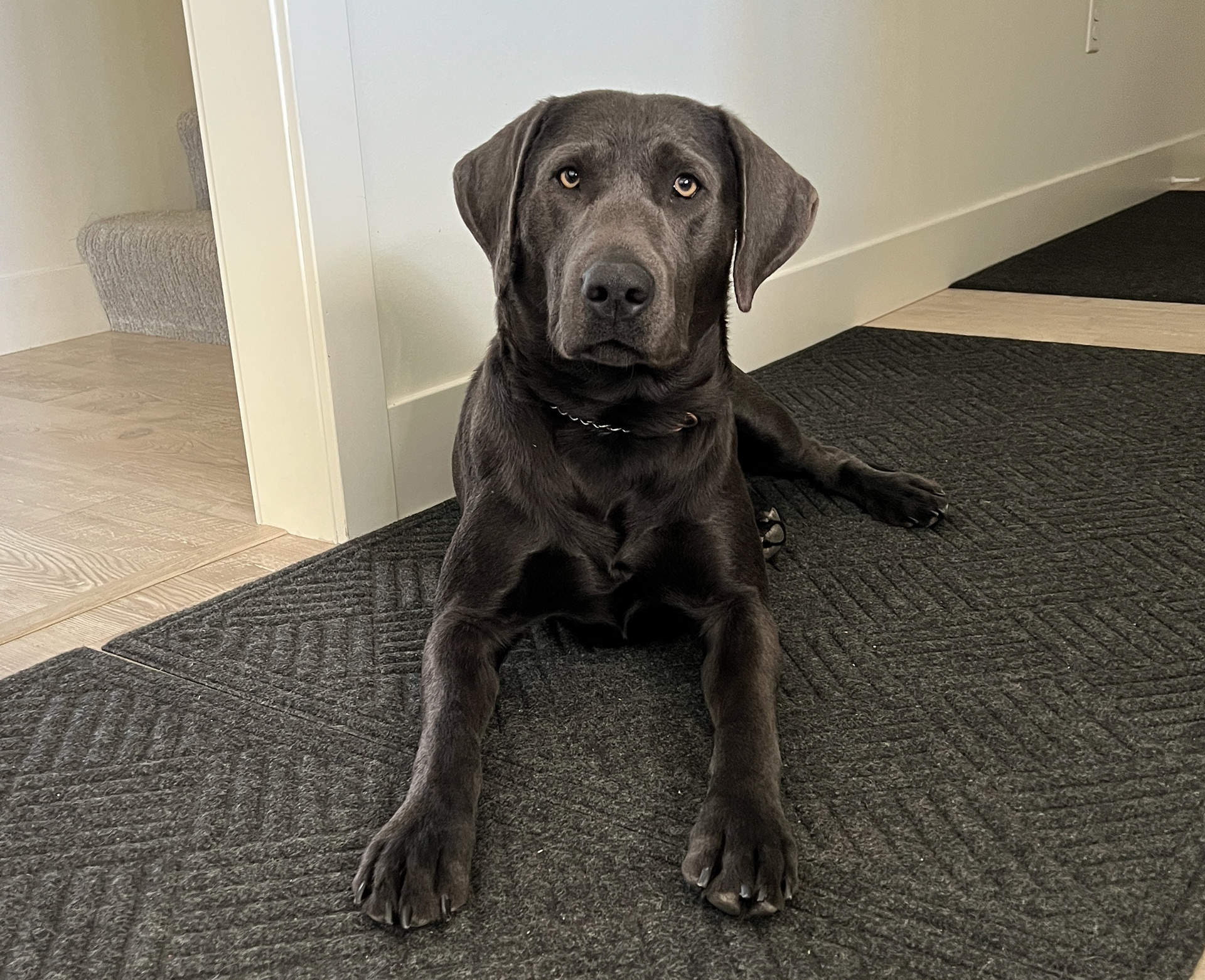 Such a Handsome Stud!