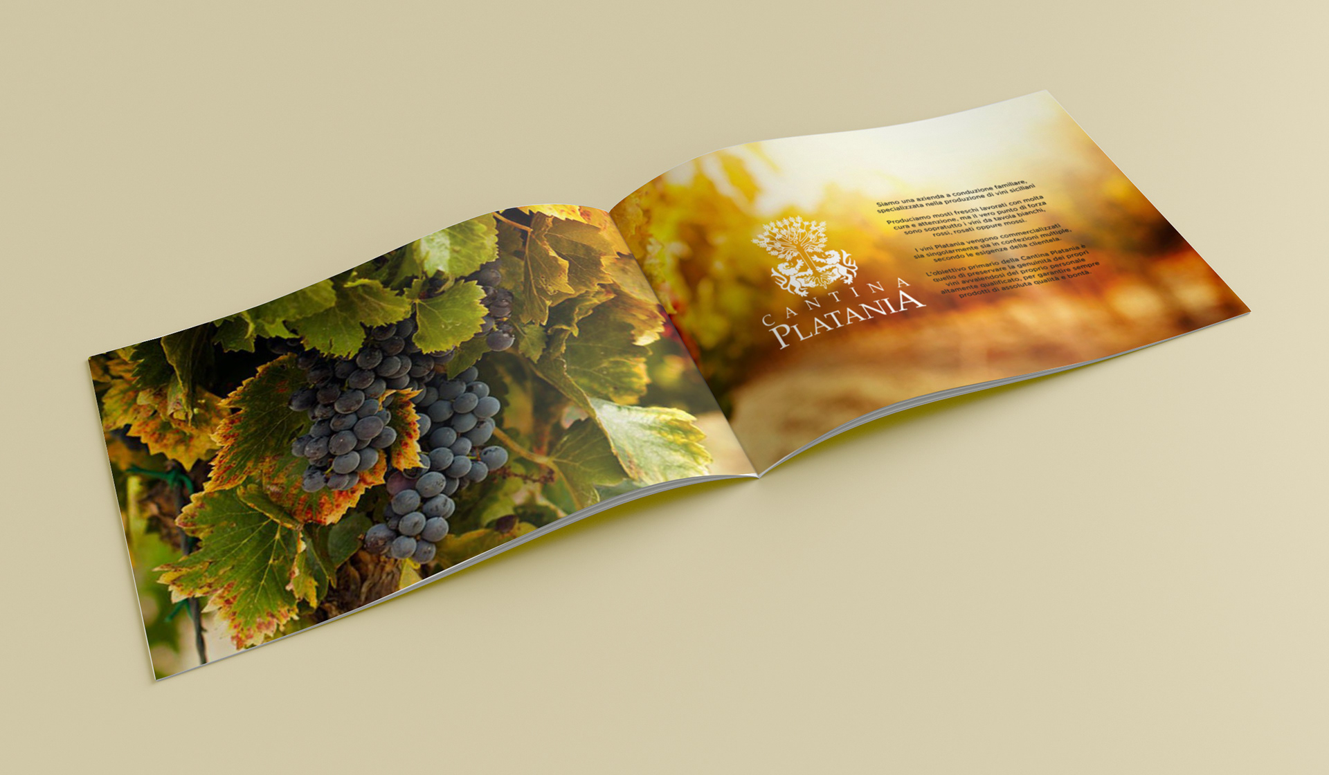 Brochure pagine interne