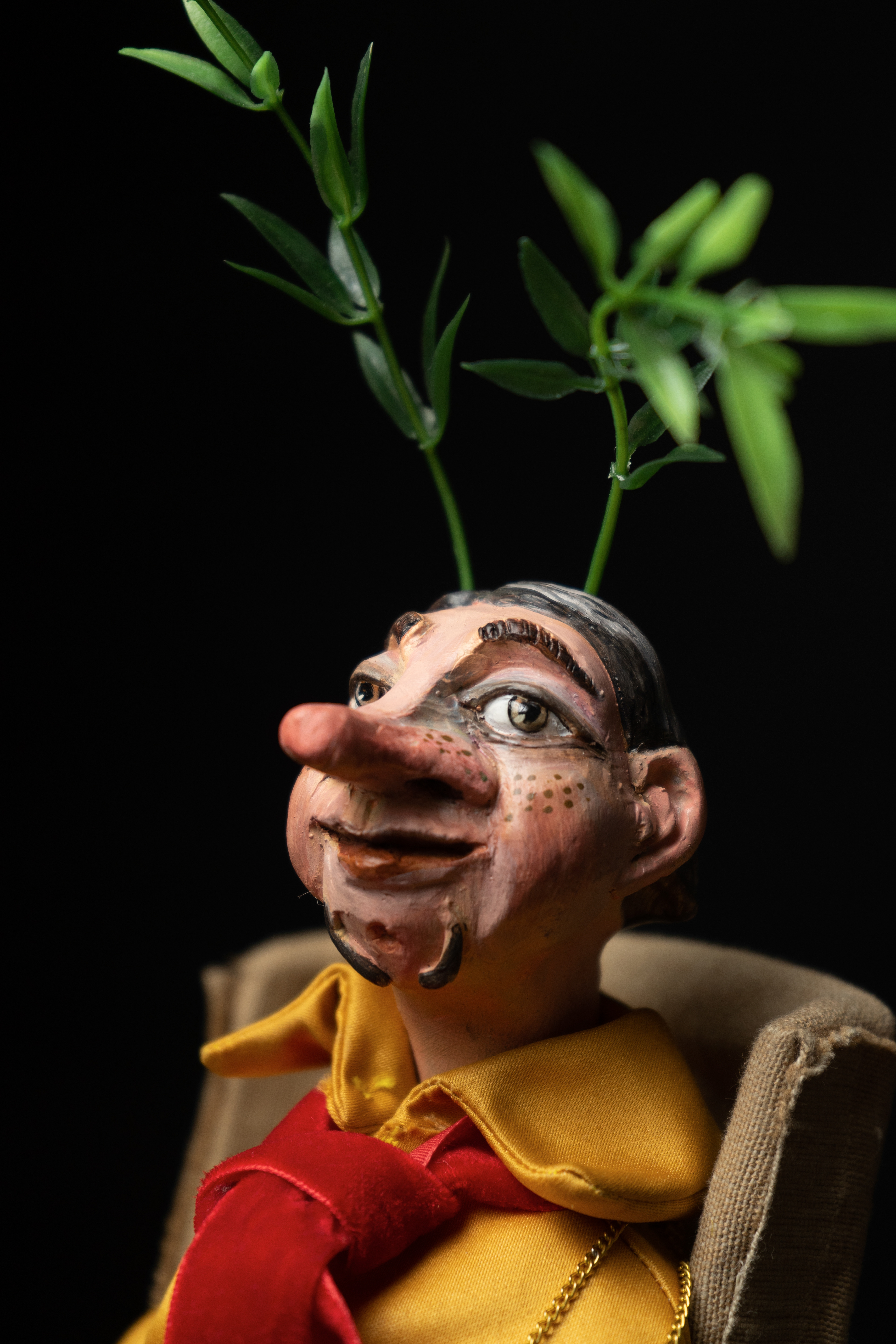 https://buecherpiraten.de/de/festival-in-sicht