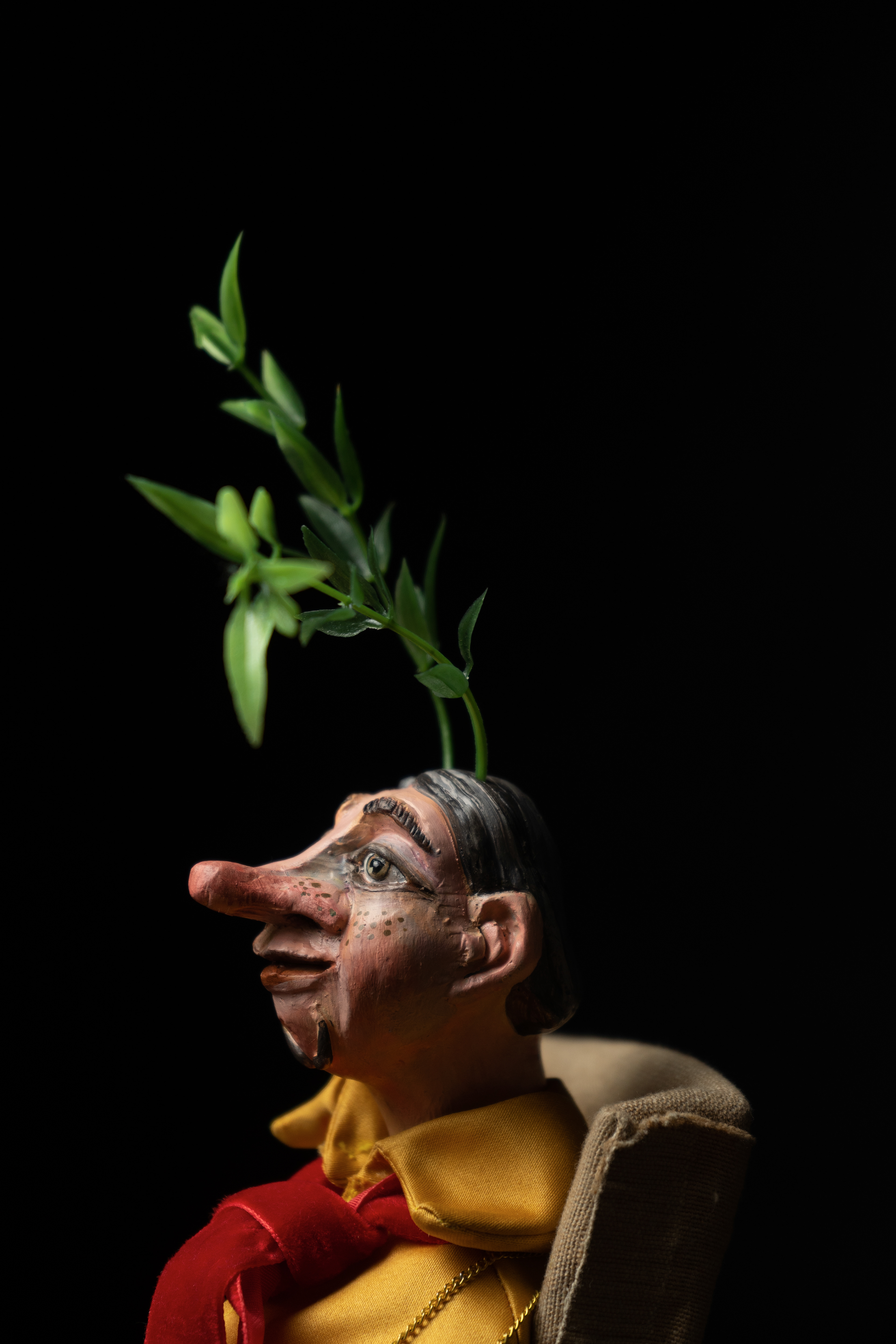 https://buecherpiraten.de/de/festival-in-sicht