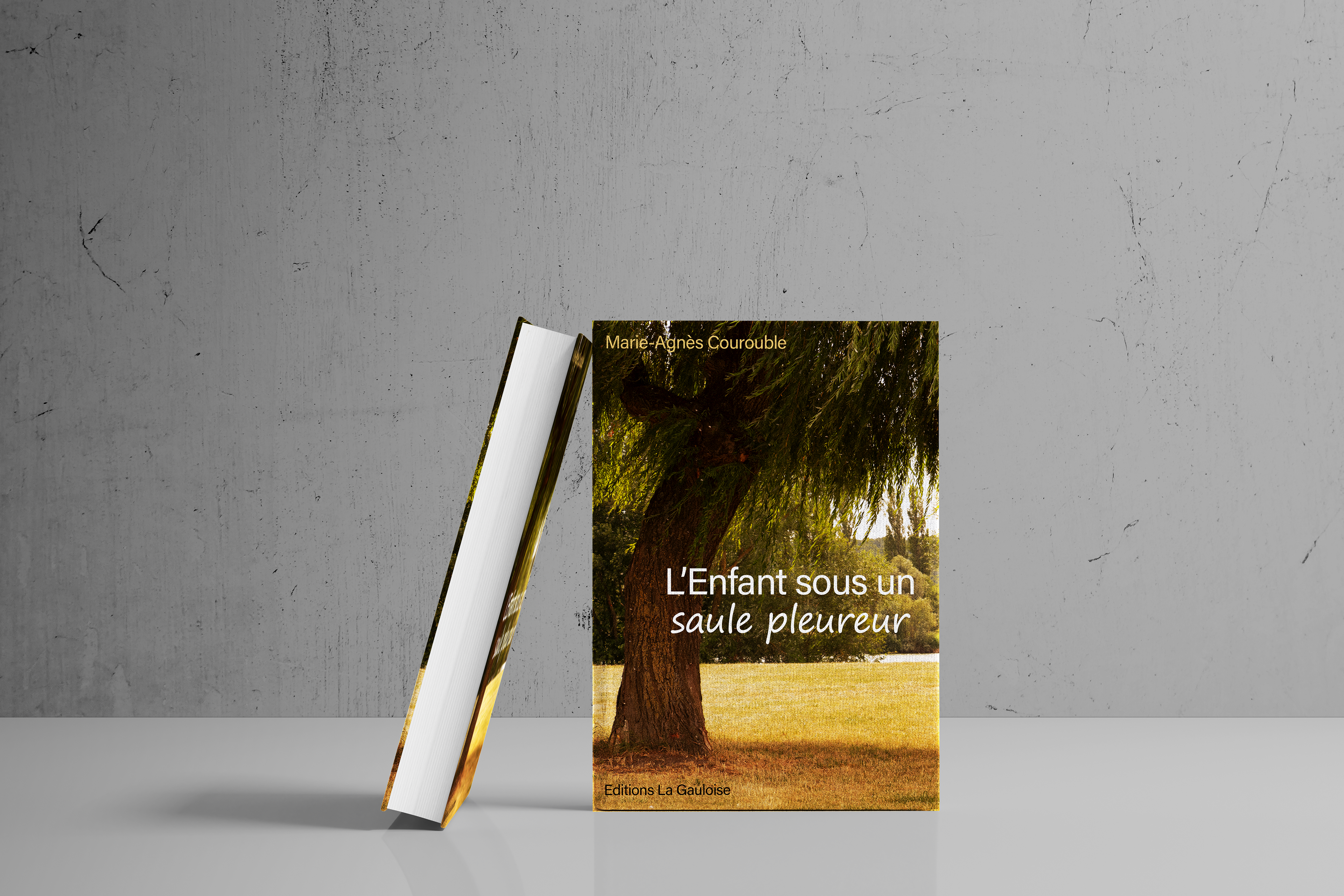 Couverture de livre