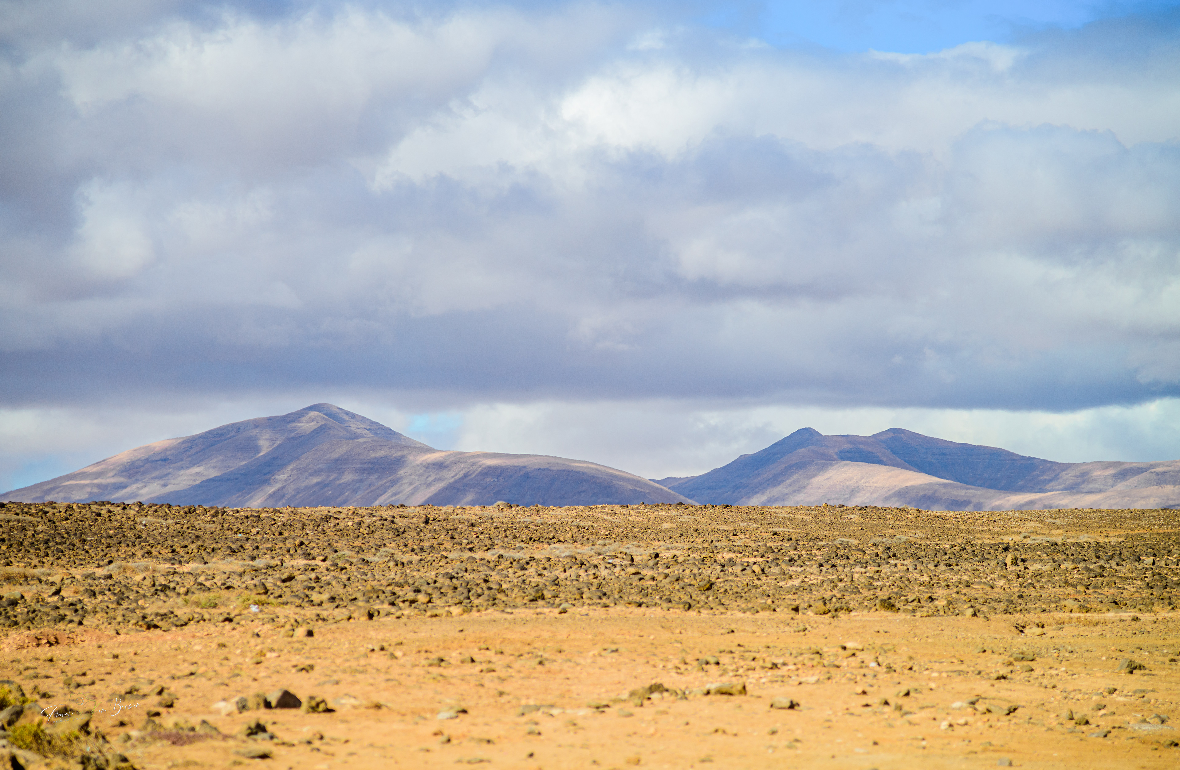 Spain 14