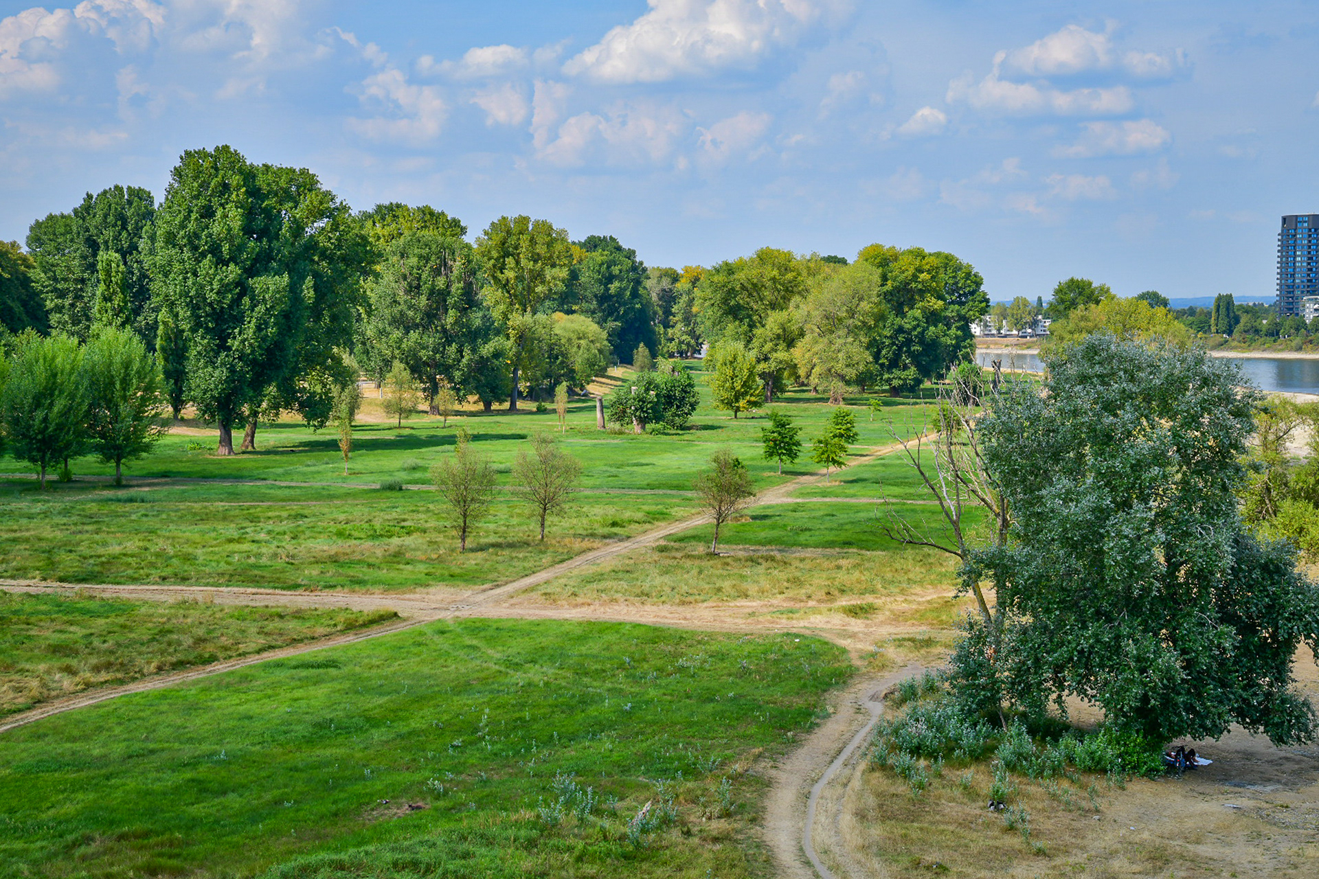 Landschaft 7
