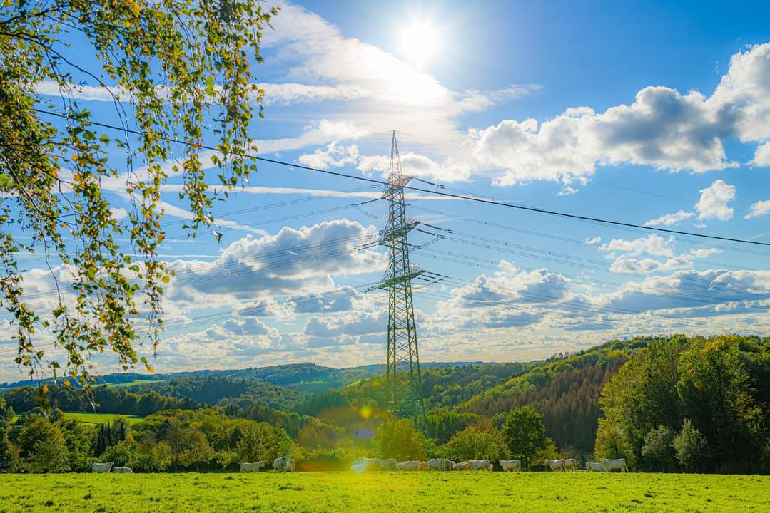 Landschaft 1