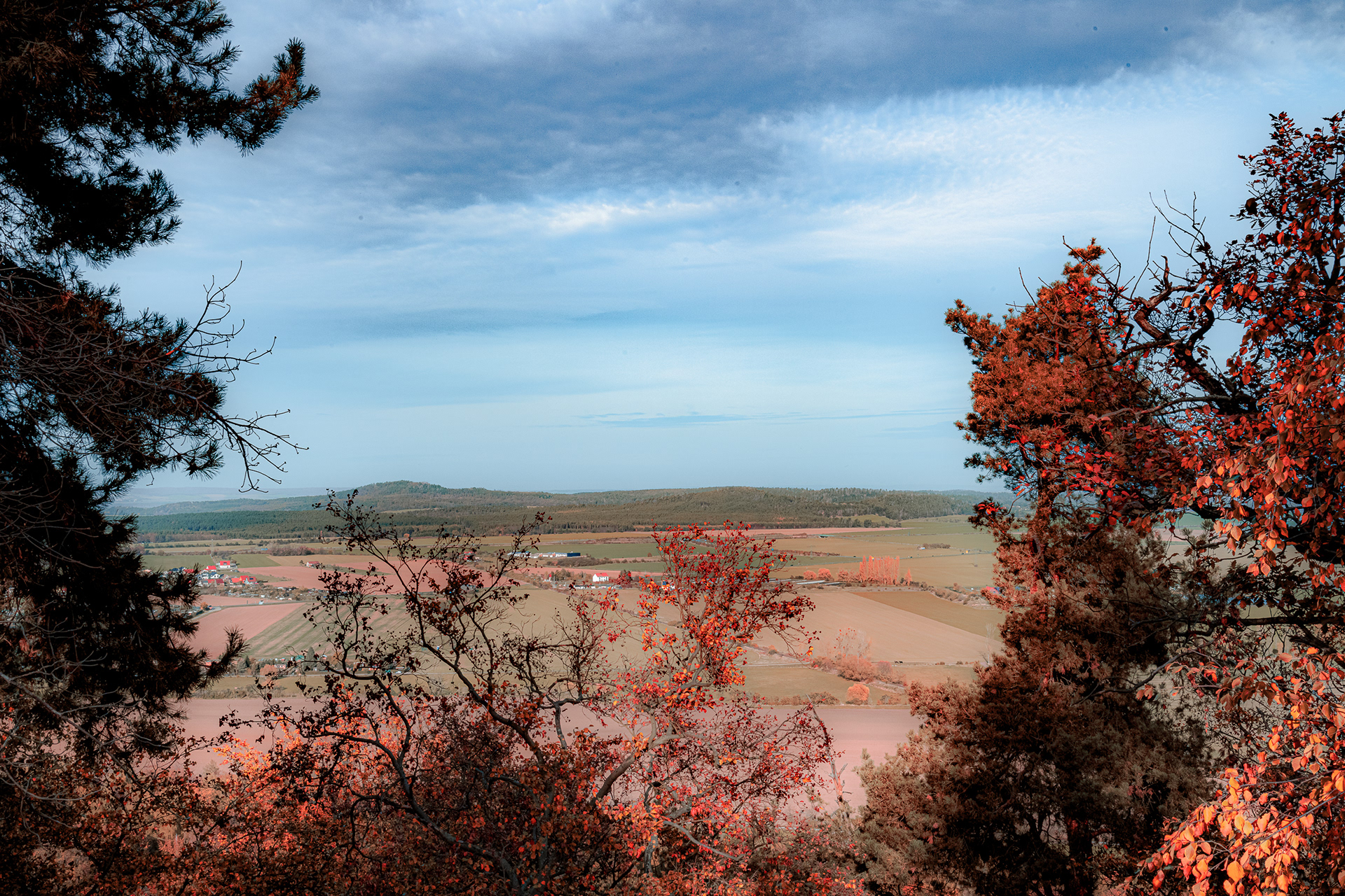 Harz 2