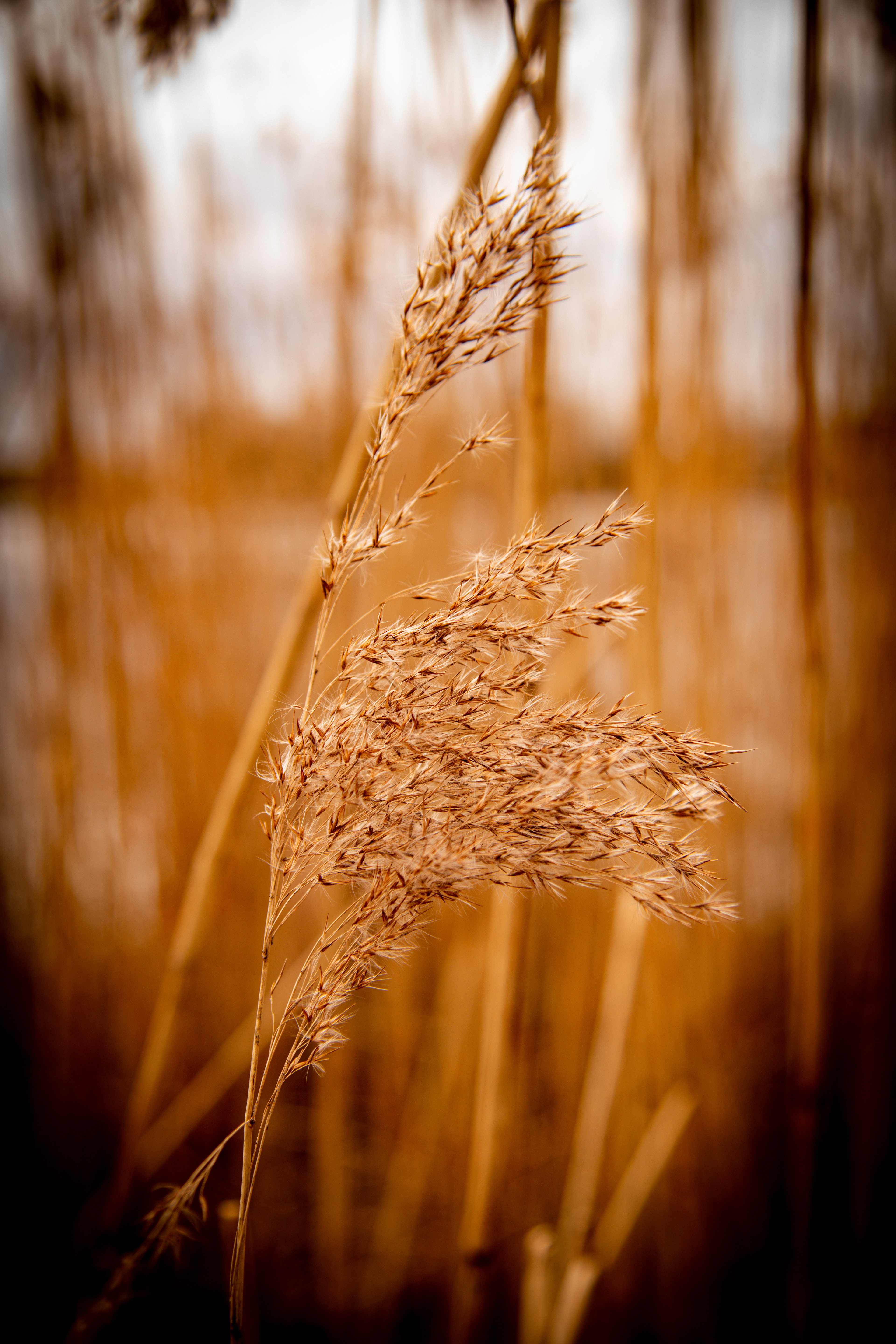 Landschaft 3