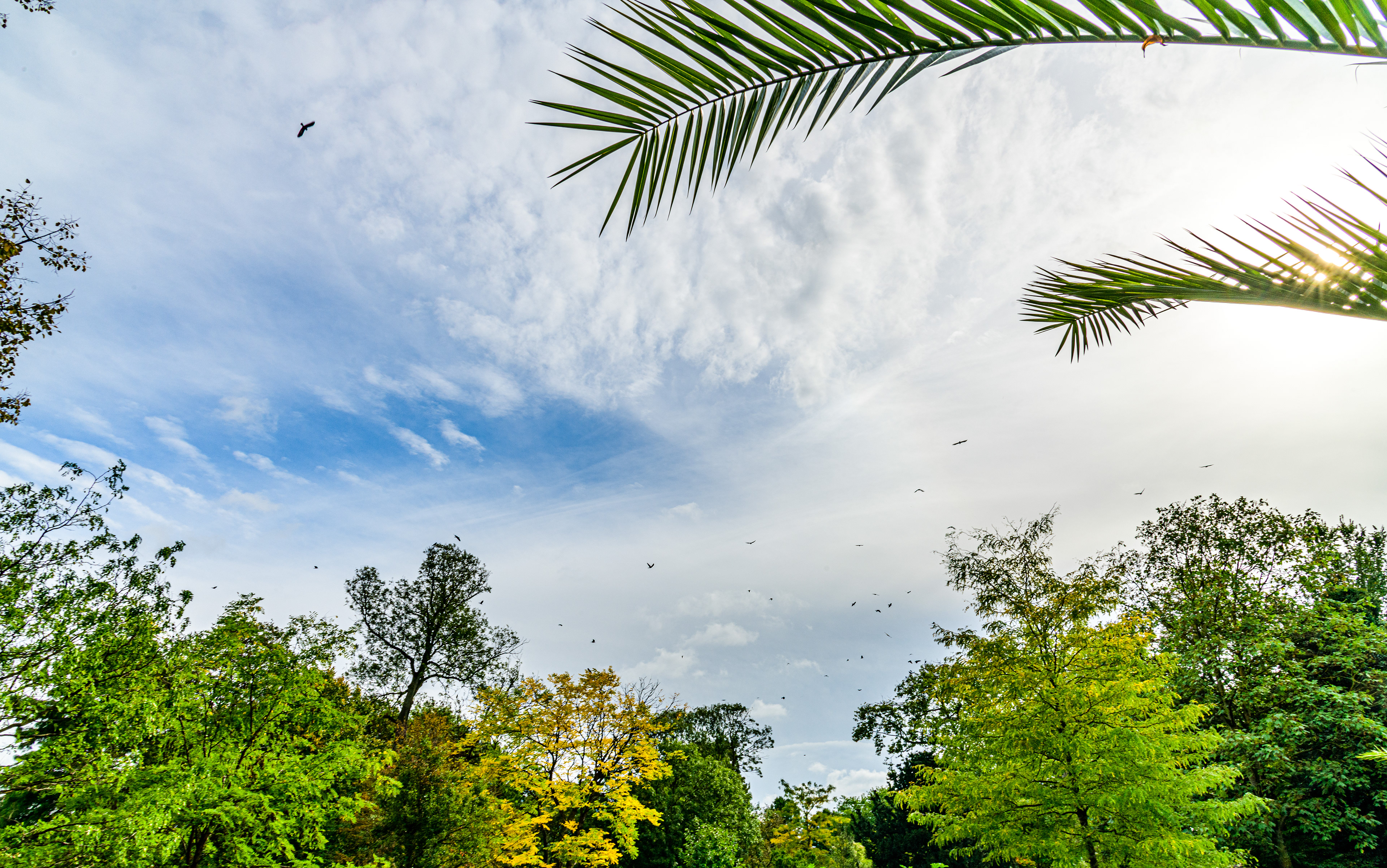 Landschaft 6