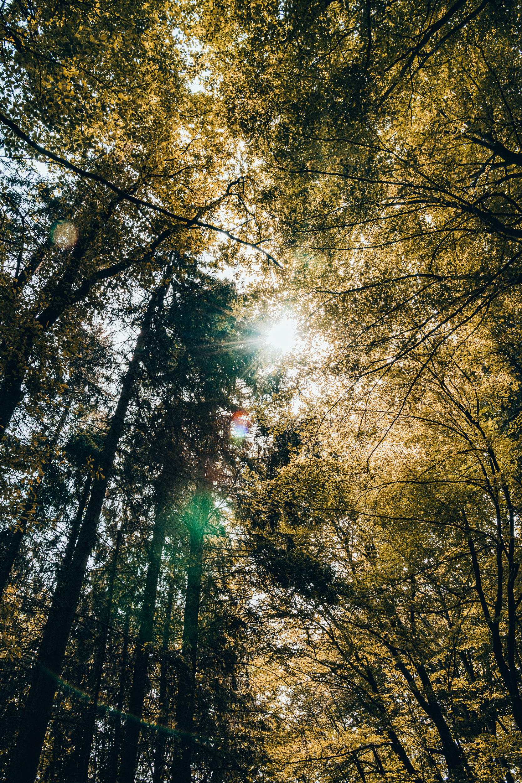 Landschaft 8