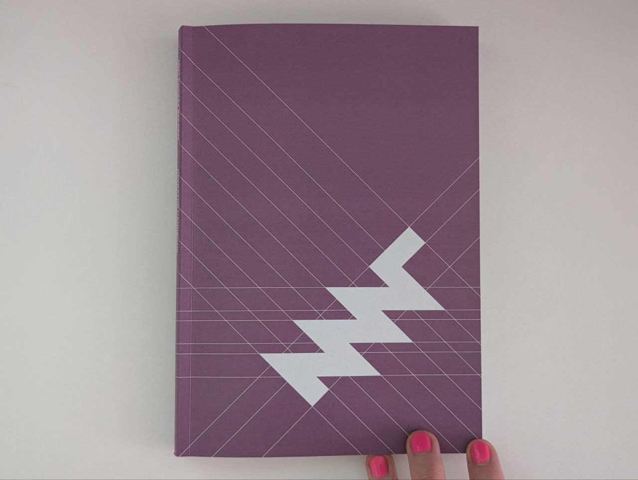 book cover: there are lines that form a geometric pattern resembling a grid. the mnt logo is embedded in the grid.