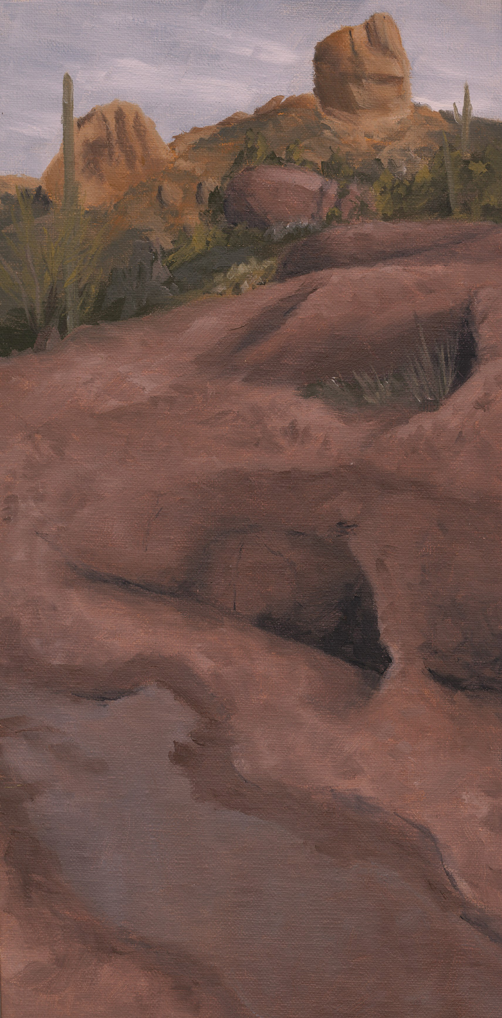 Needles Vista, Oil, 12x6 inches, $300