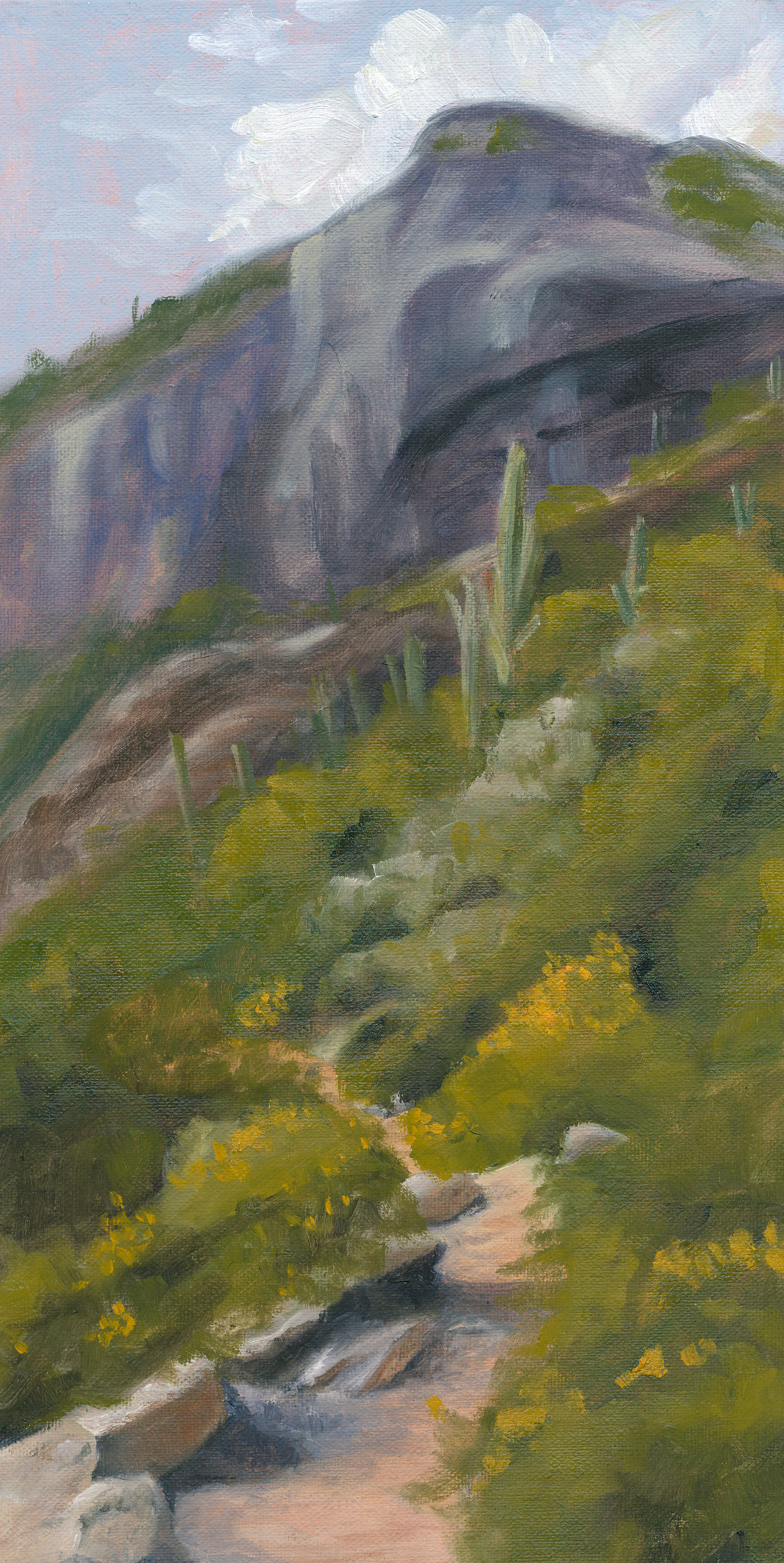 Desert Trail, Oil, 12x6 inches, $300