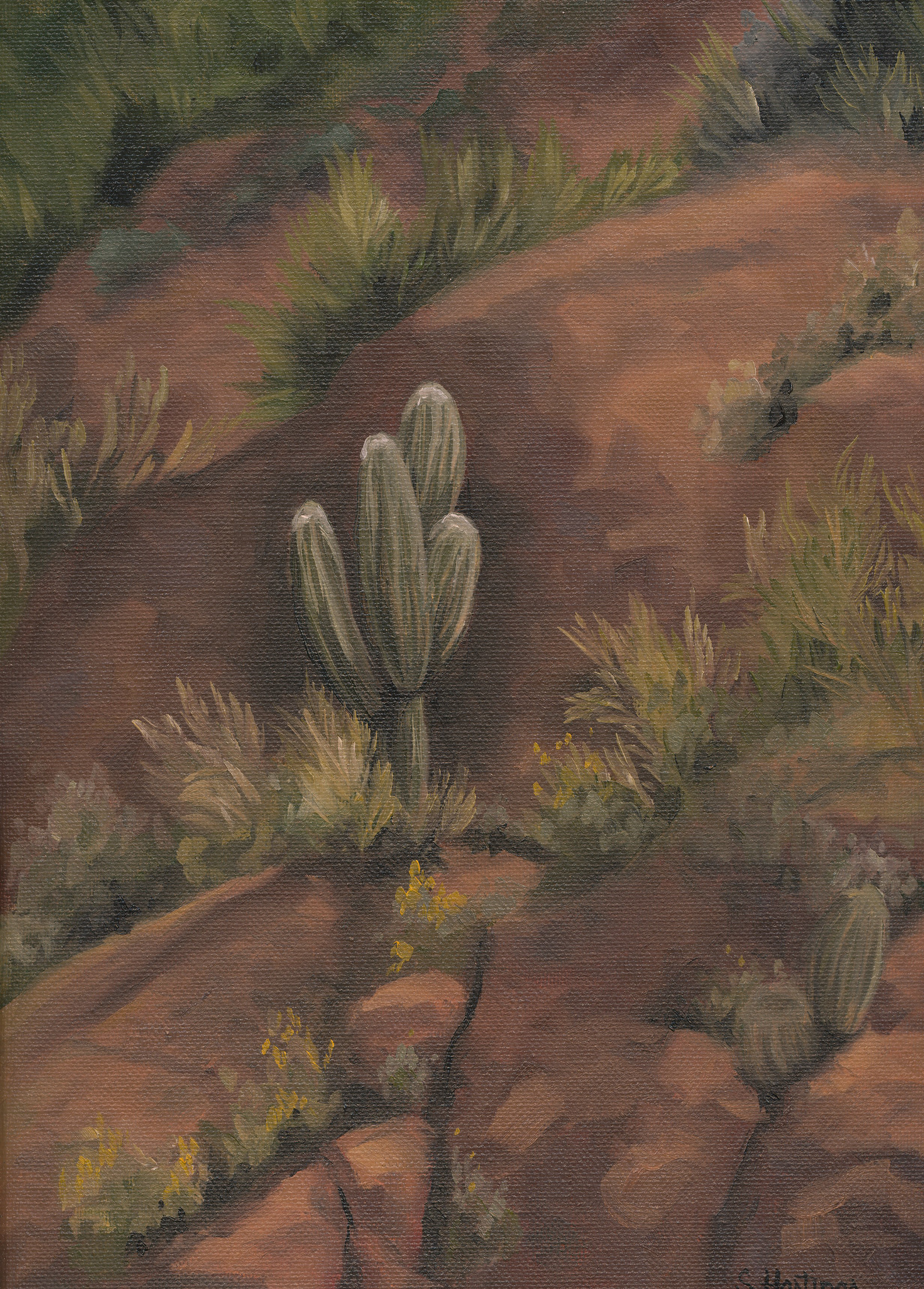 Lone Saguaro, Oil, 12x9 inches, $350