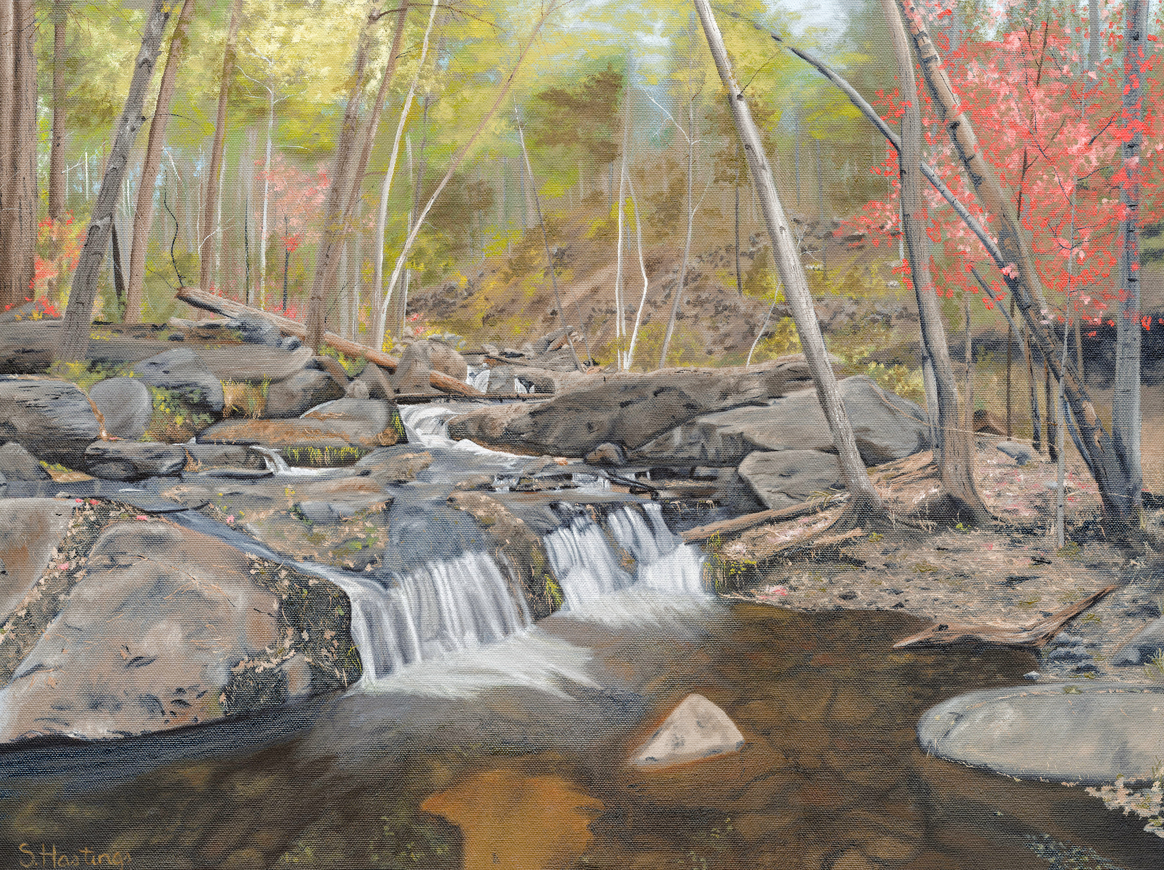 Horton Creek, Oil on Canvas, 18x24 inches