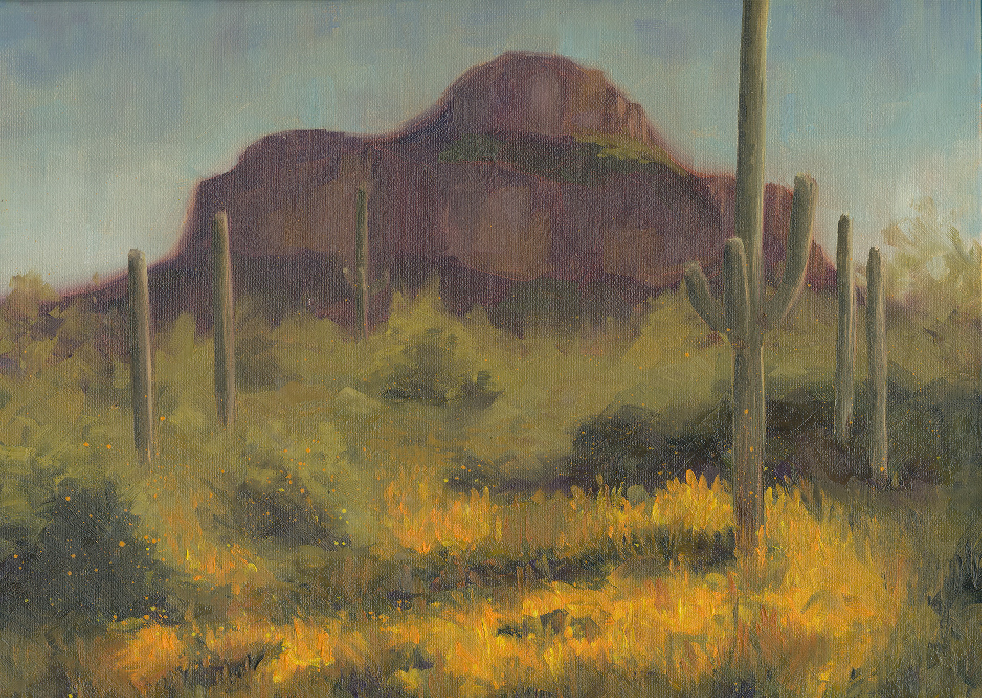 Desert Poppies, Oil, 9x12 inches, $350