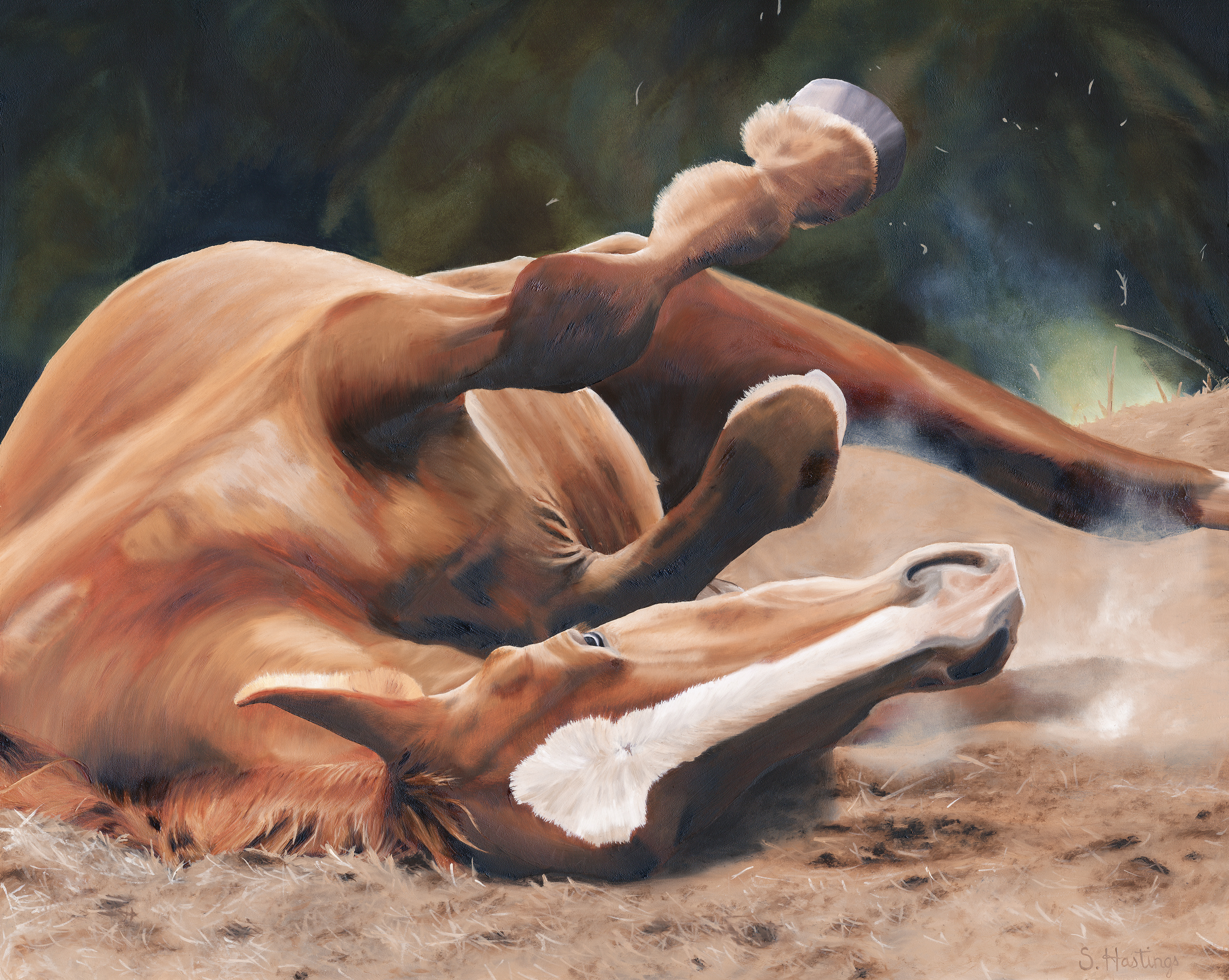 SOLD, Rolling Around, Oil on Panel, 16x20 inches