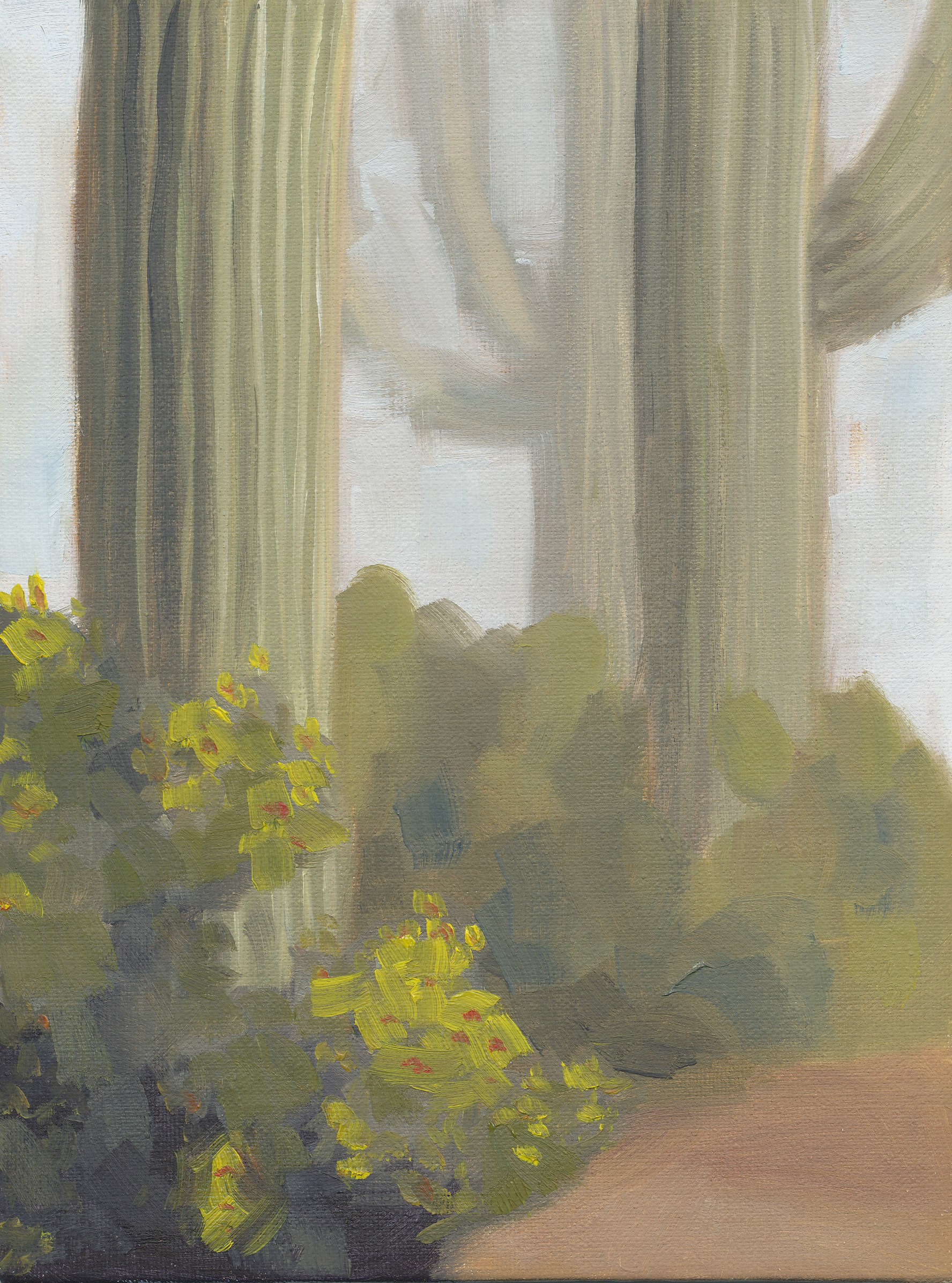 Saguaro Garden, Oil, 8x6 inches, $230