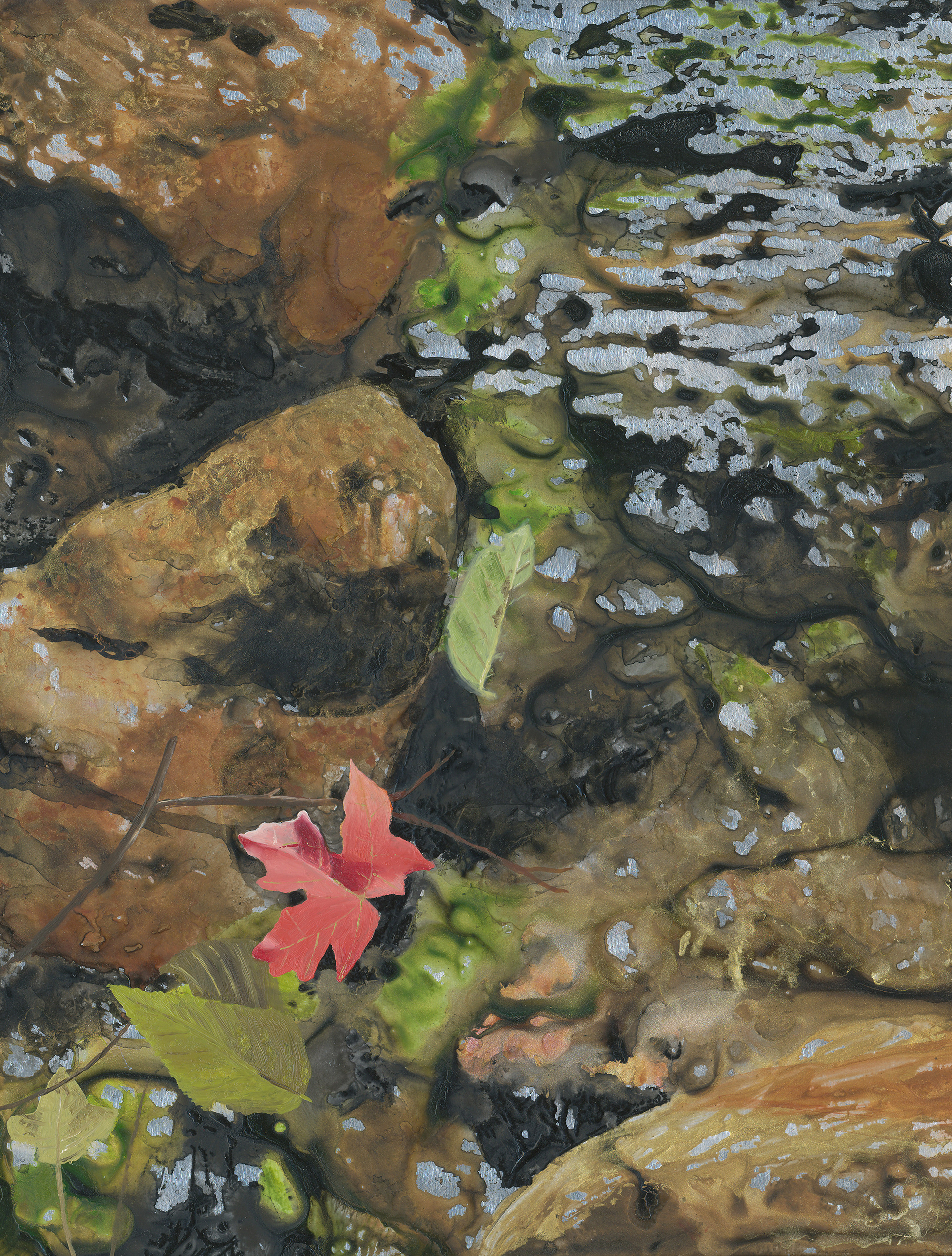 Reflections of Autumn