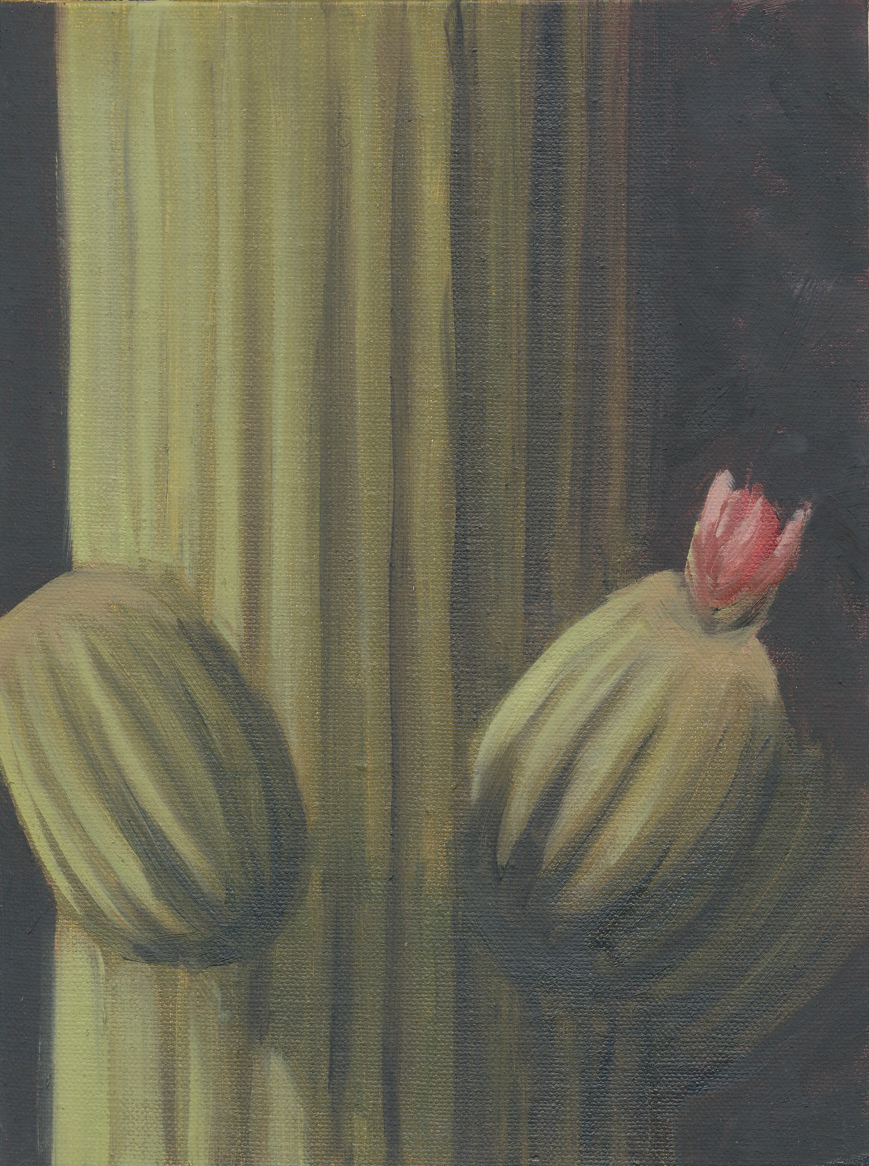 Desert Fruit, Oil, 8x6 inches, $230