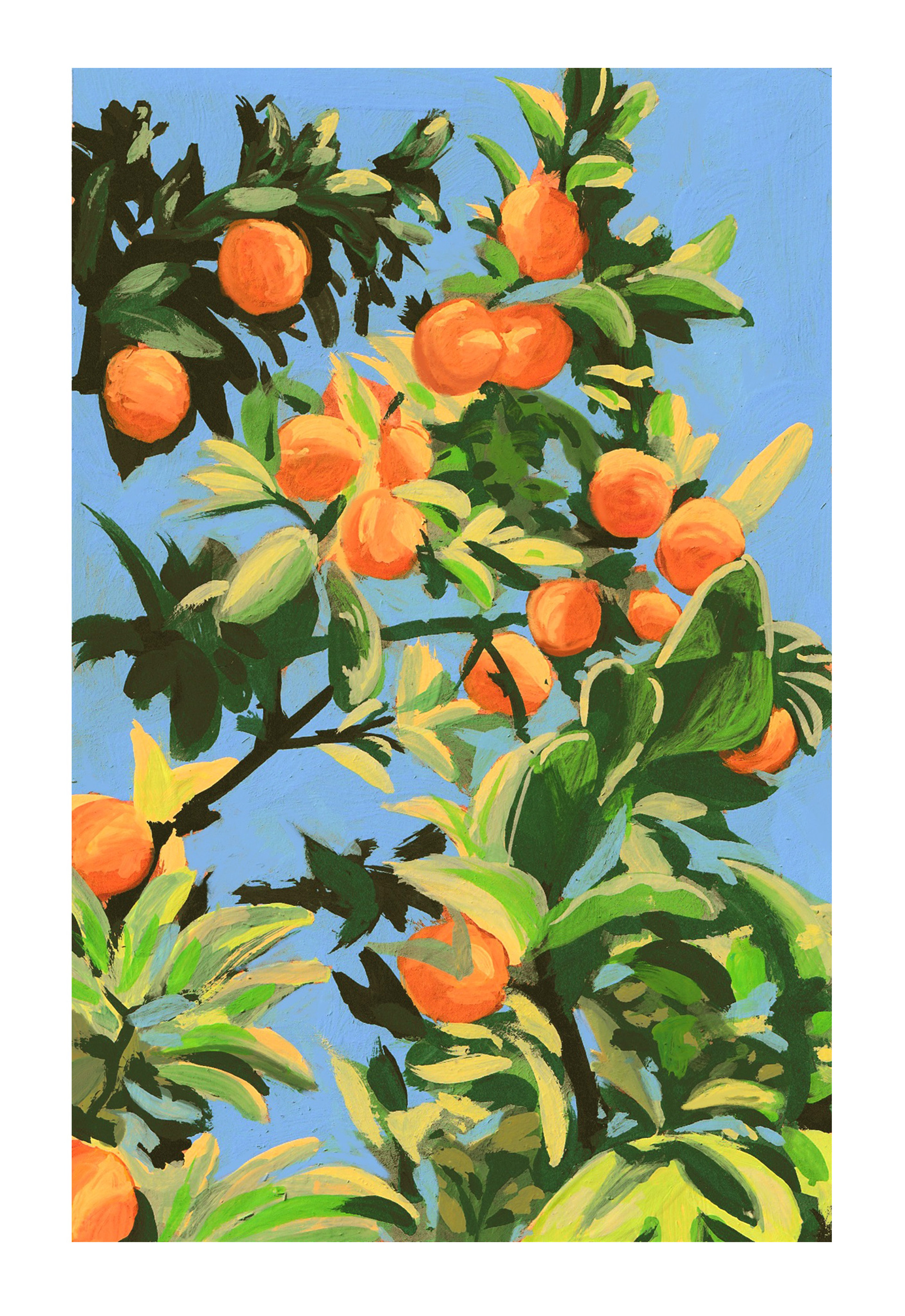 Orange Tree