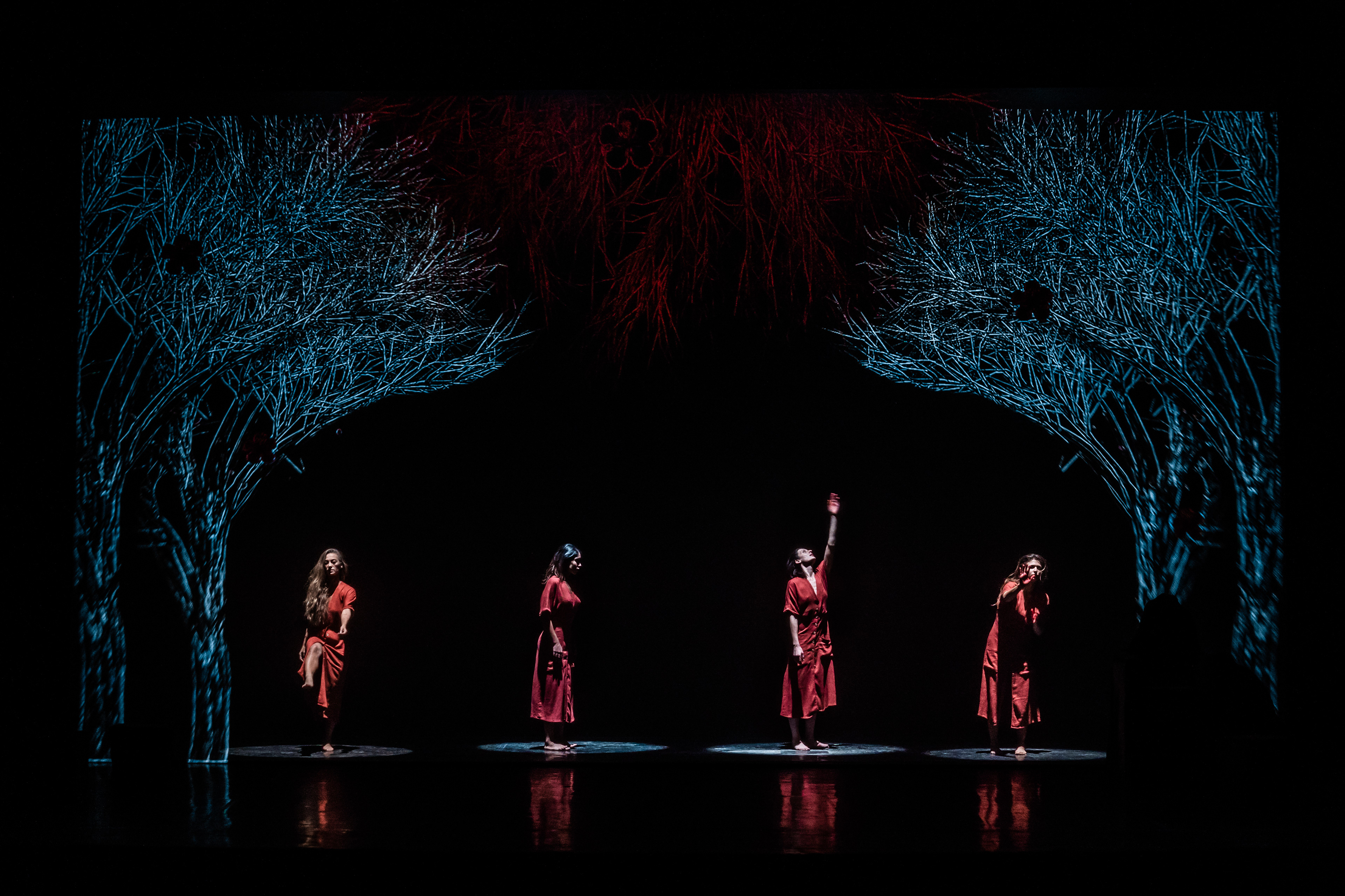 Camille - Teatro Bellini 2020 - for Cubocreativitydesign Agency