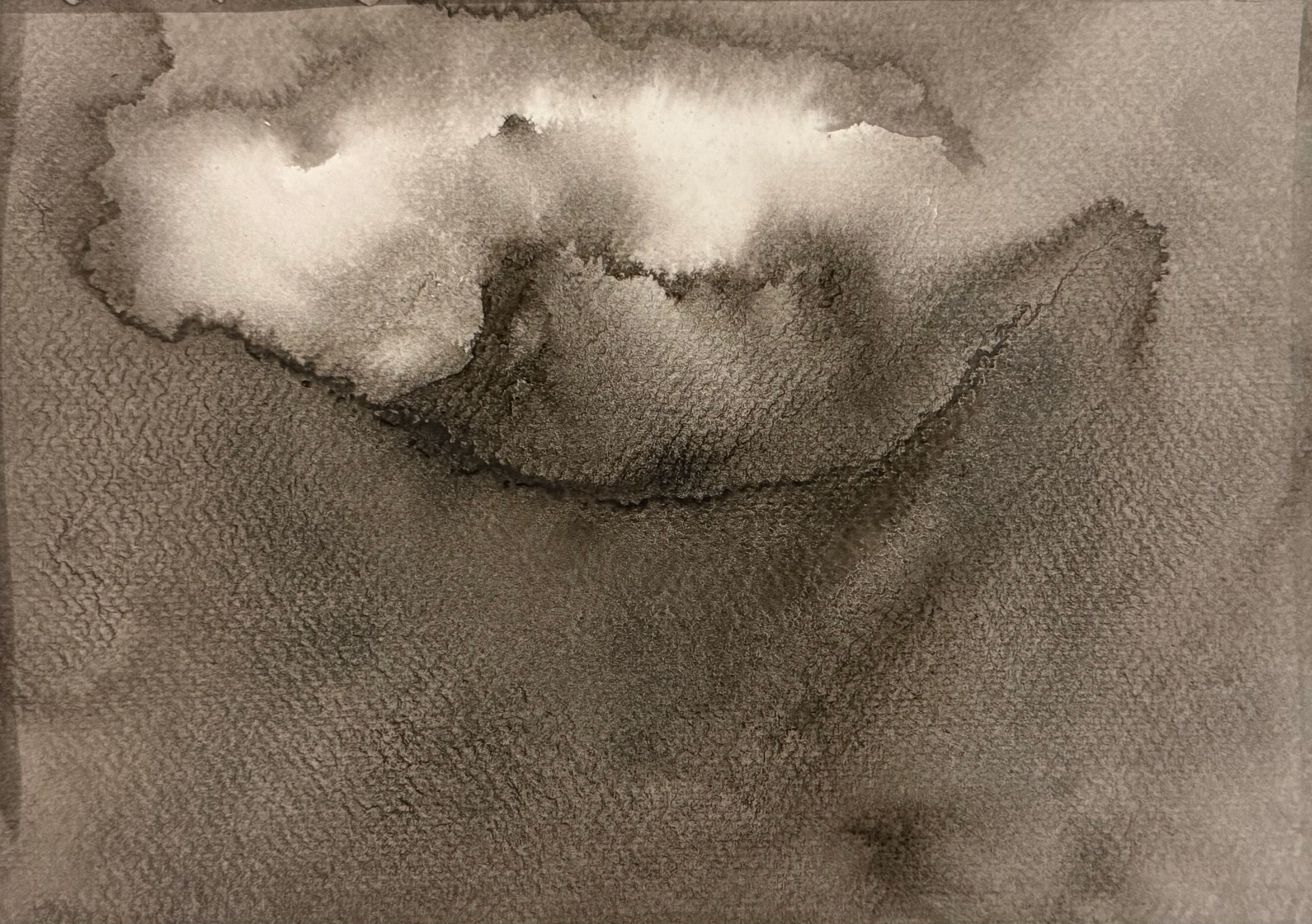 20 And Though The Forest Wept