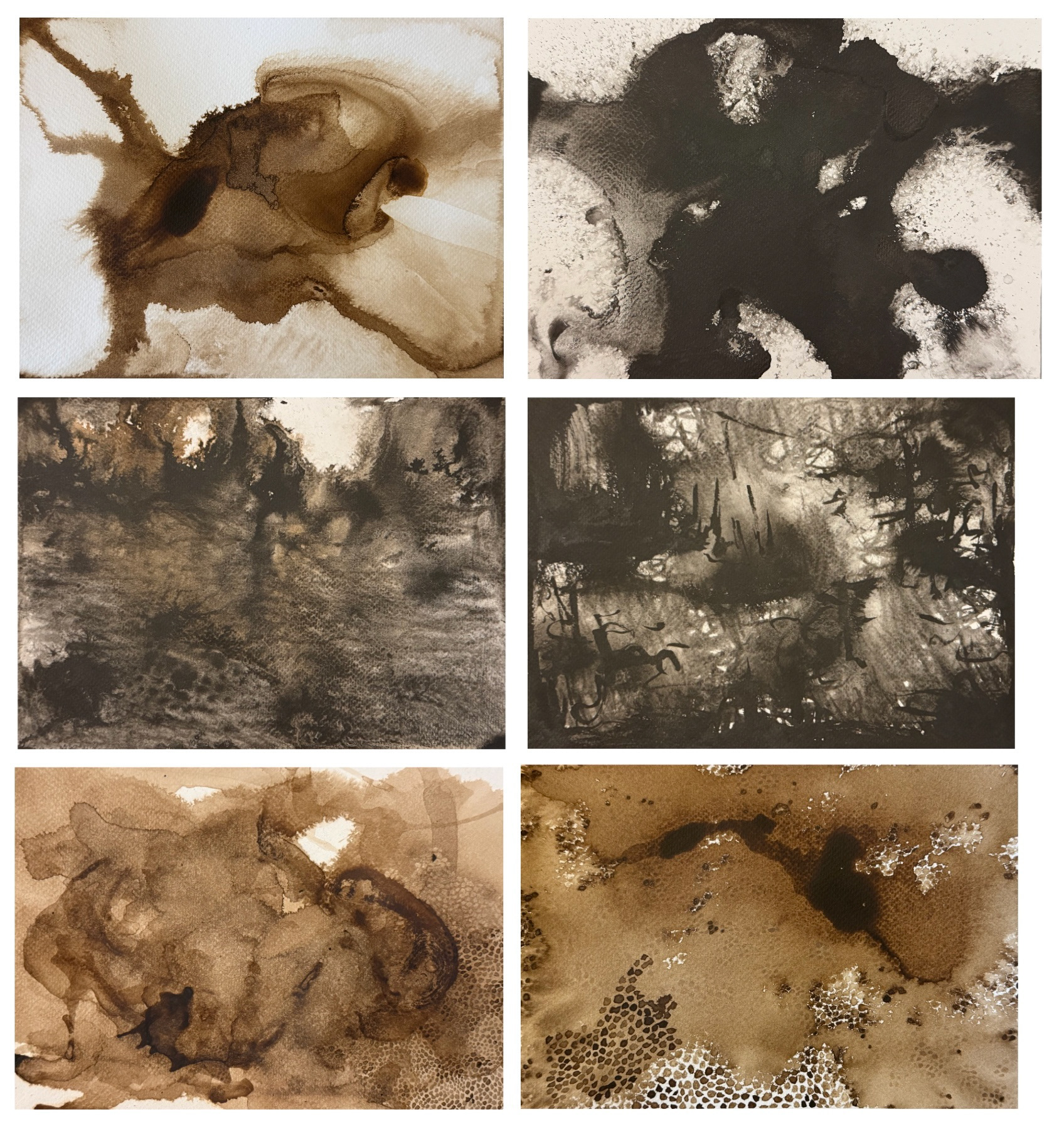 12 - 17 February 2026