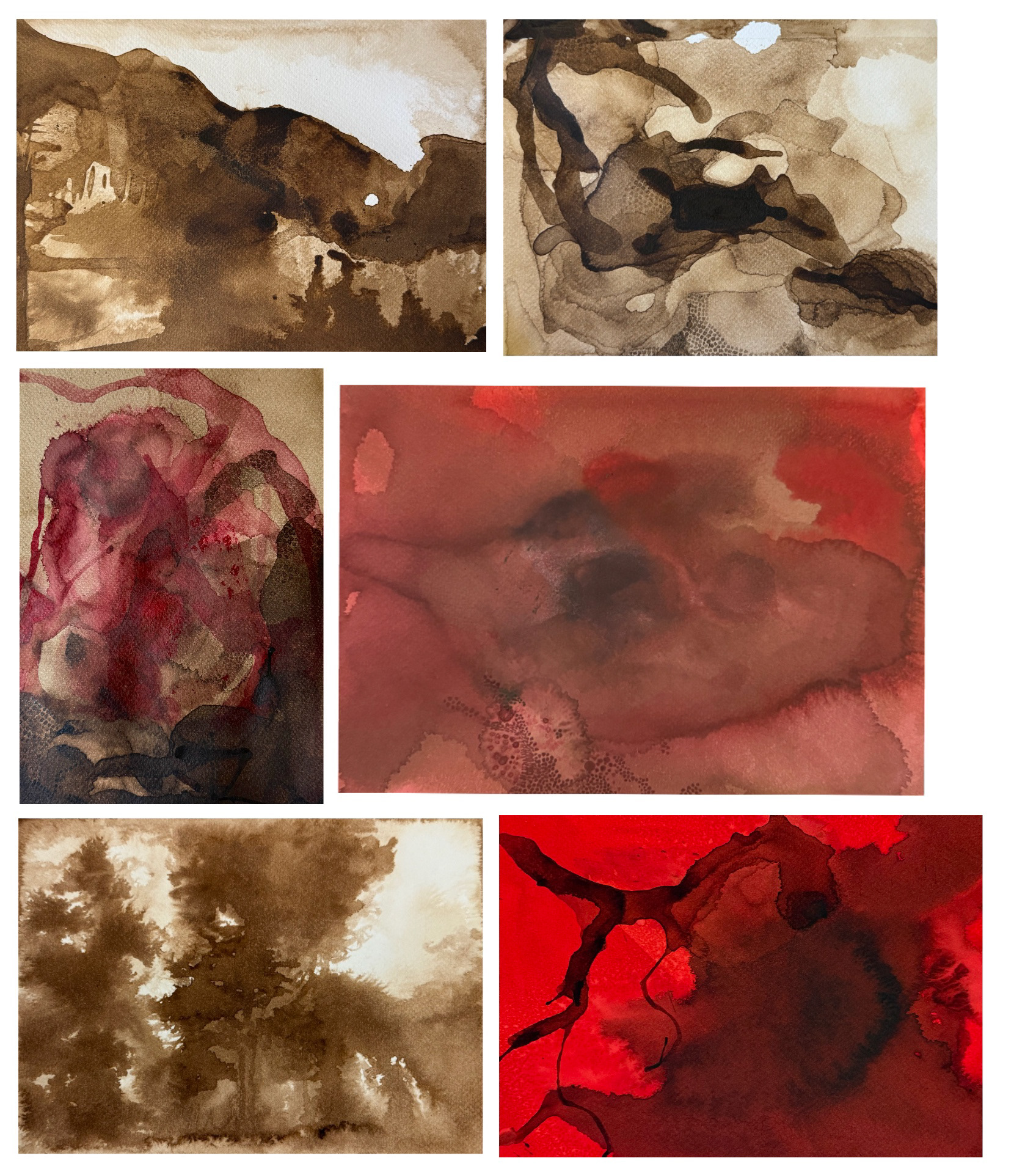 31 - 5 February 2026