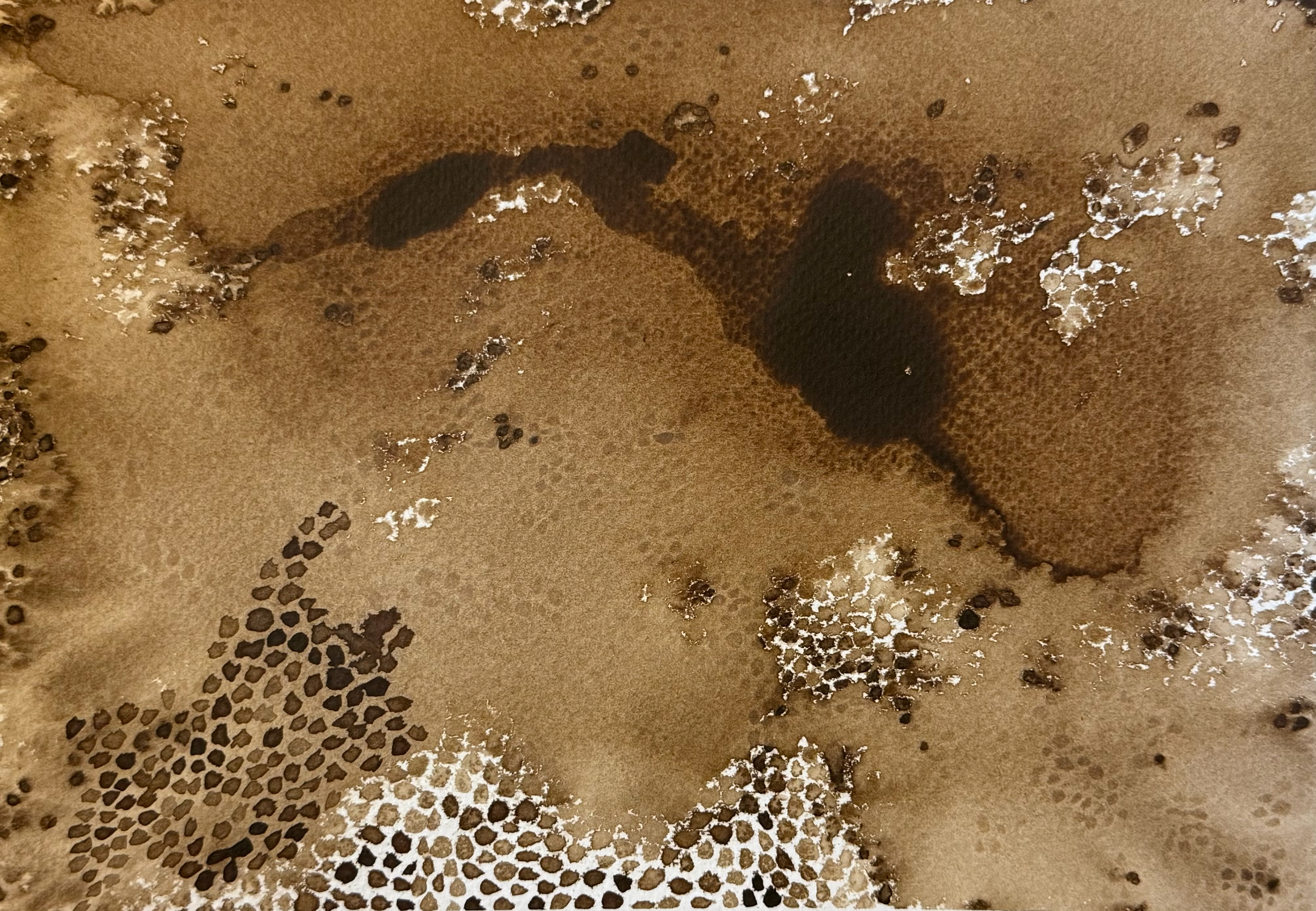 17 When We Looked Up