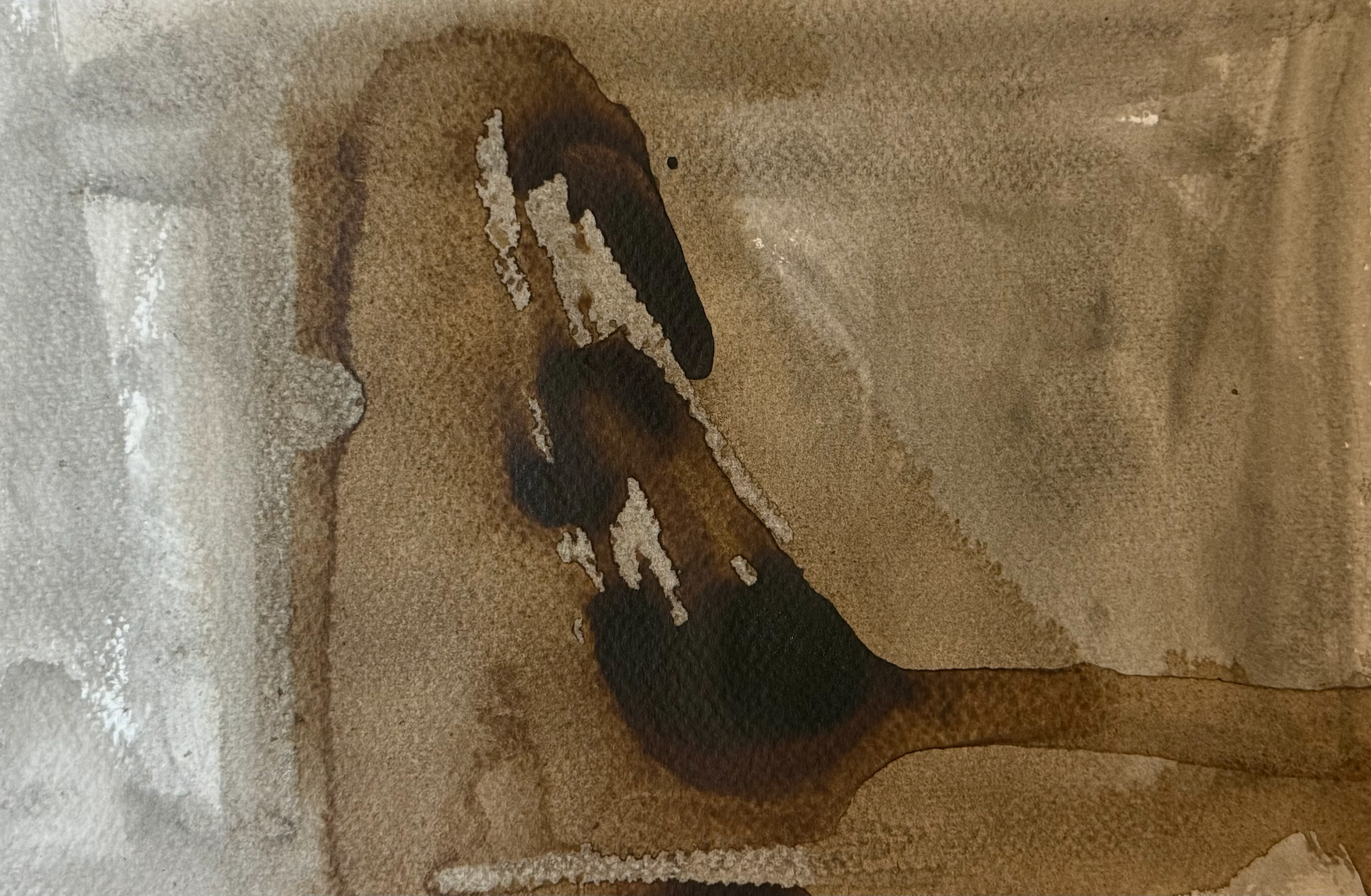 11 The Shame and the Sorrow