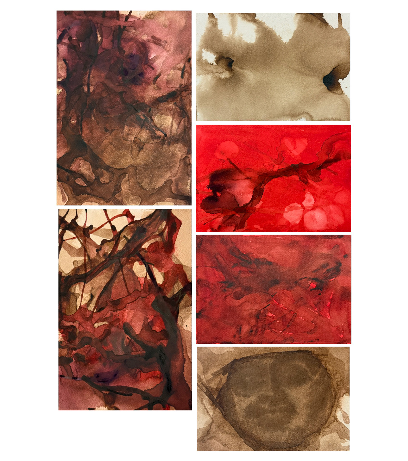 6 - 11 February 2026