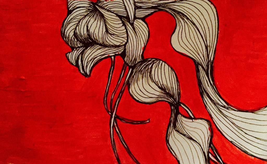 IN Search Of The Dawn Treader