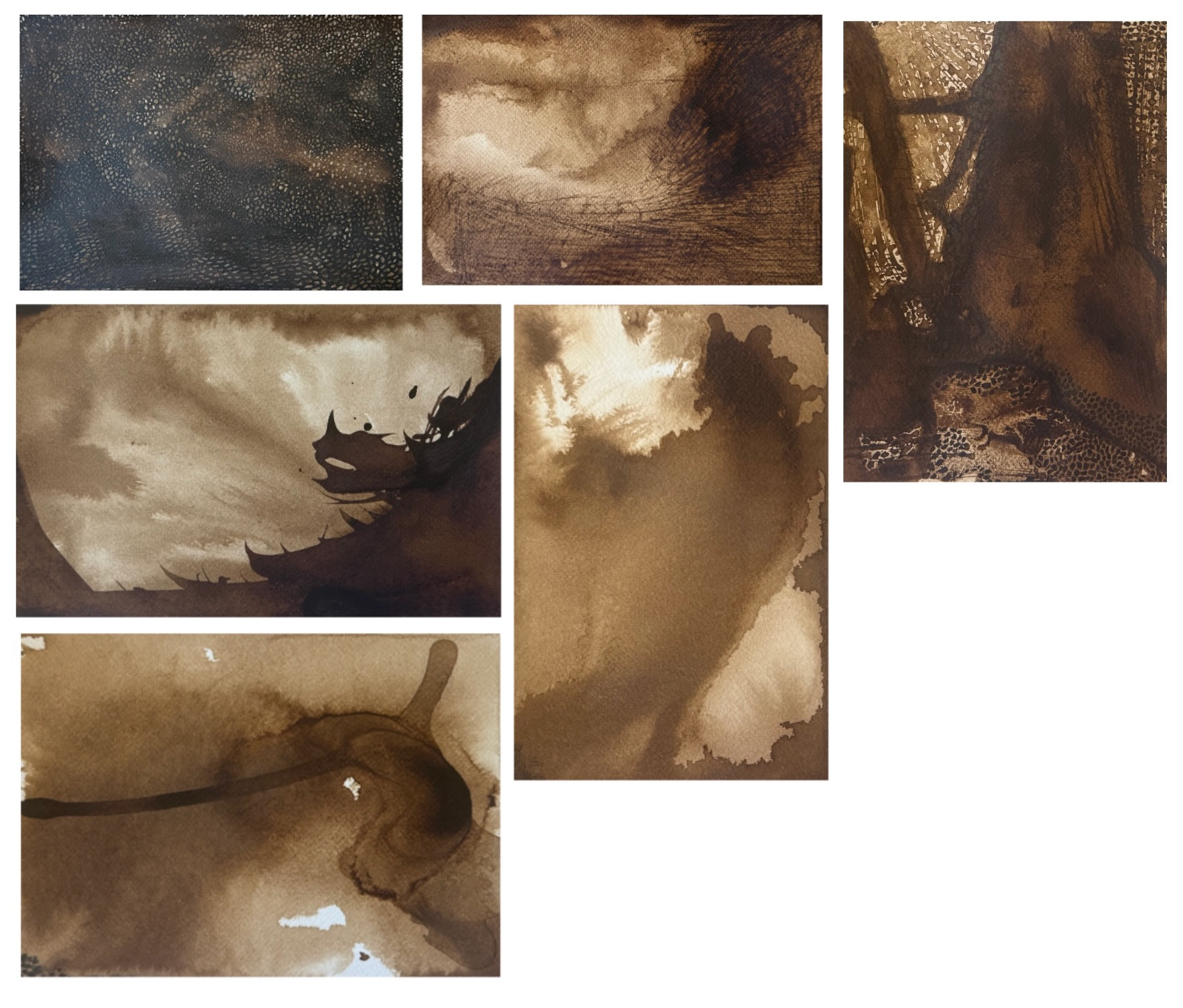 19 - 24 January 2026