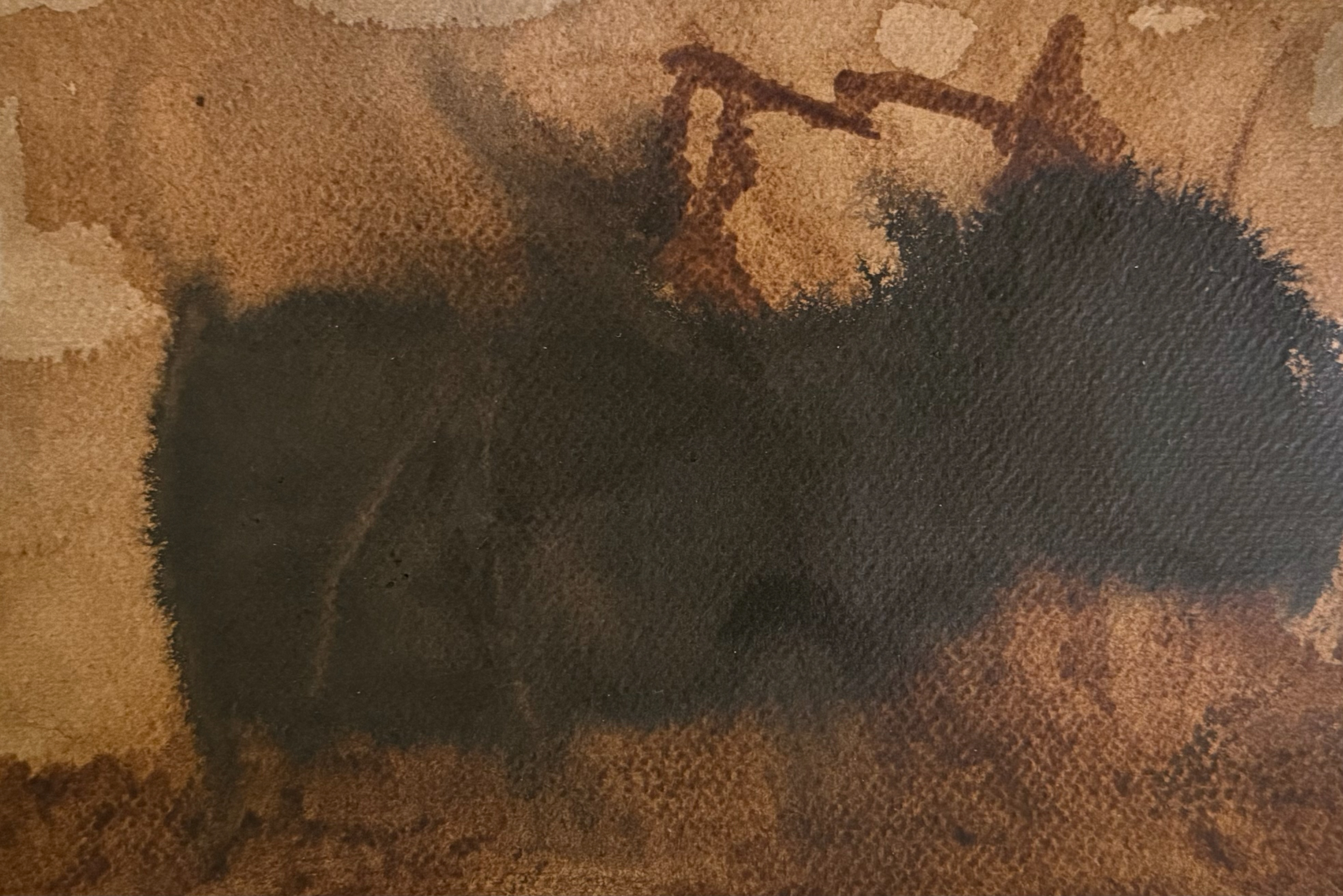 29 Rumbling Disappearance