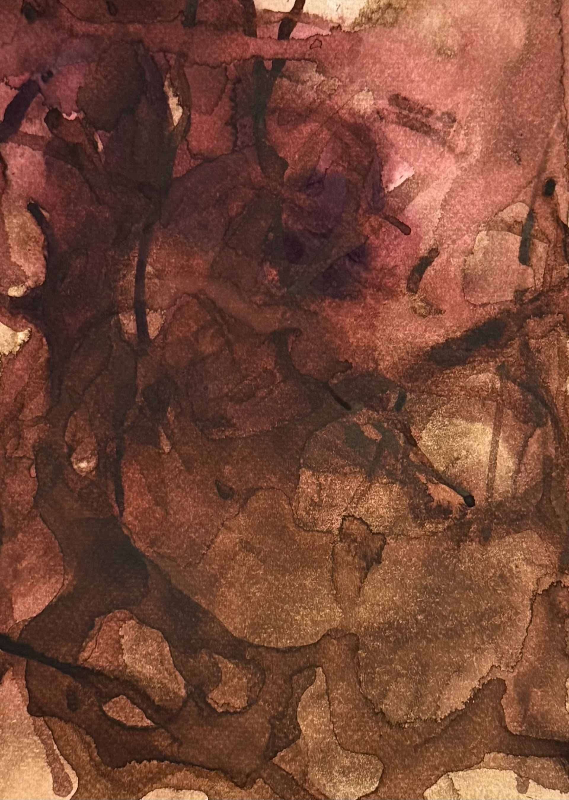 6 Seeing Through Tangled