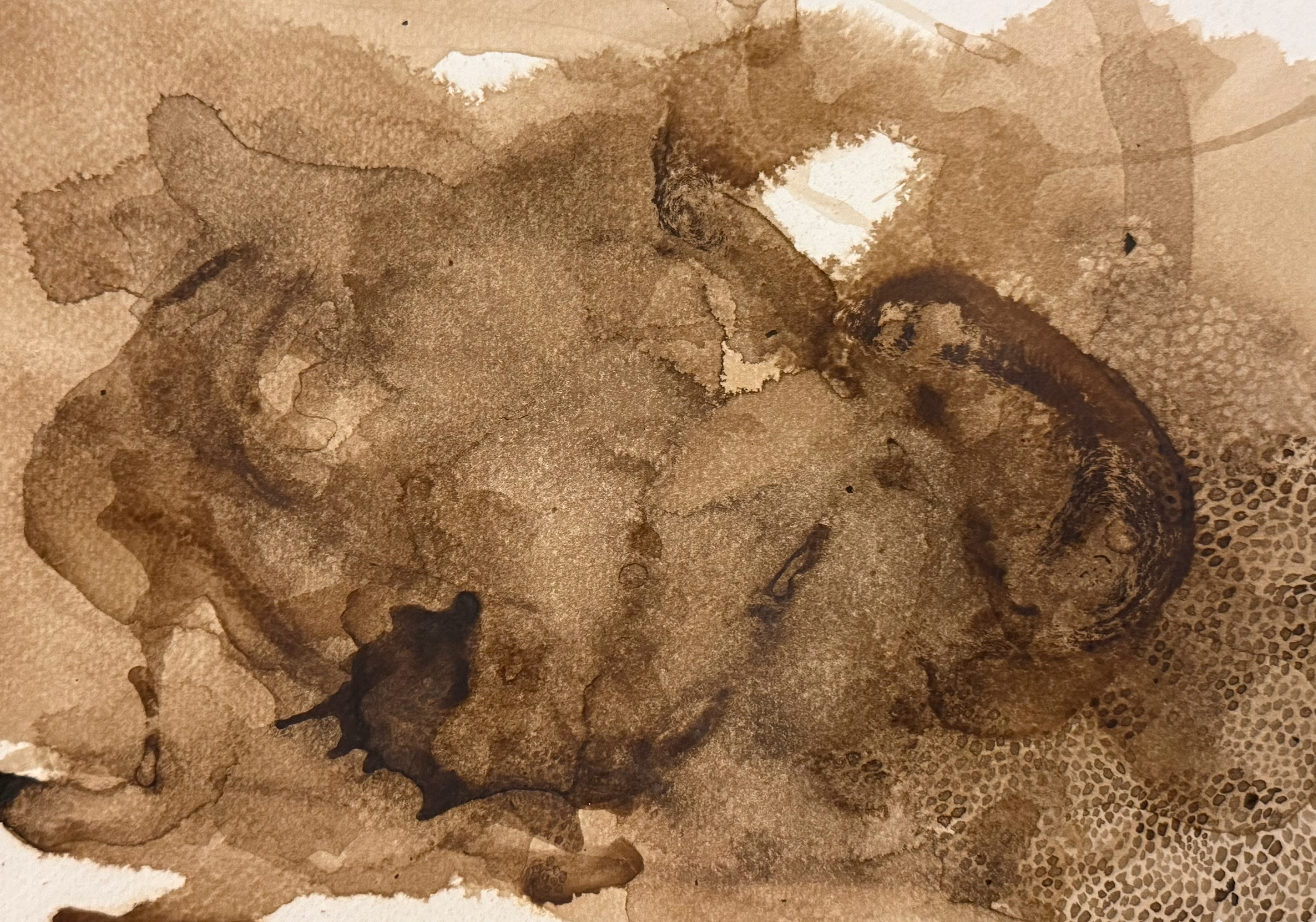 16 Rushing In Quiet Slippers