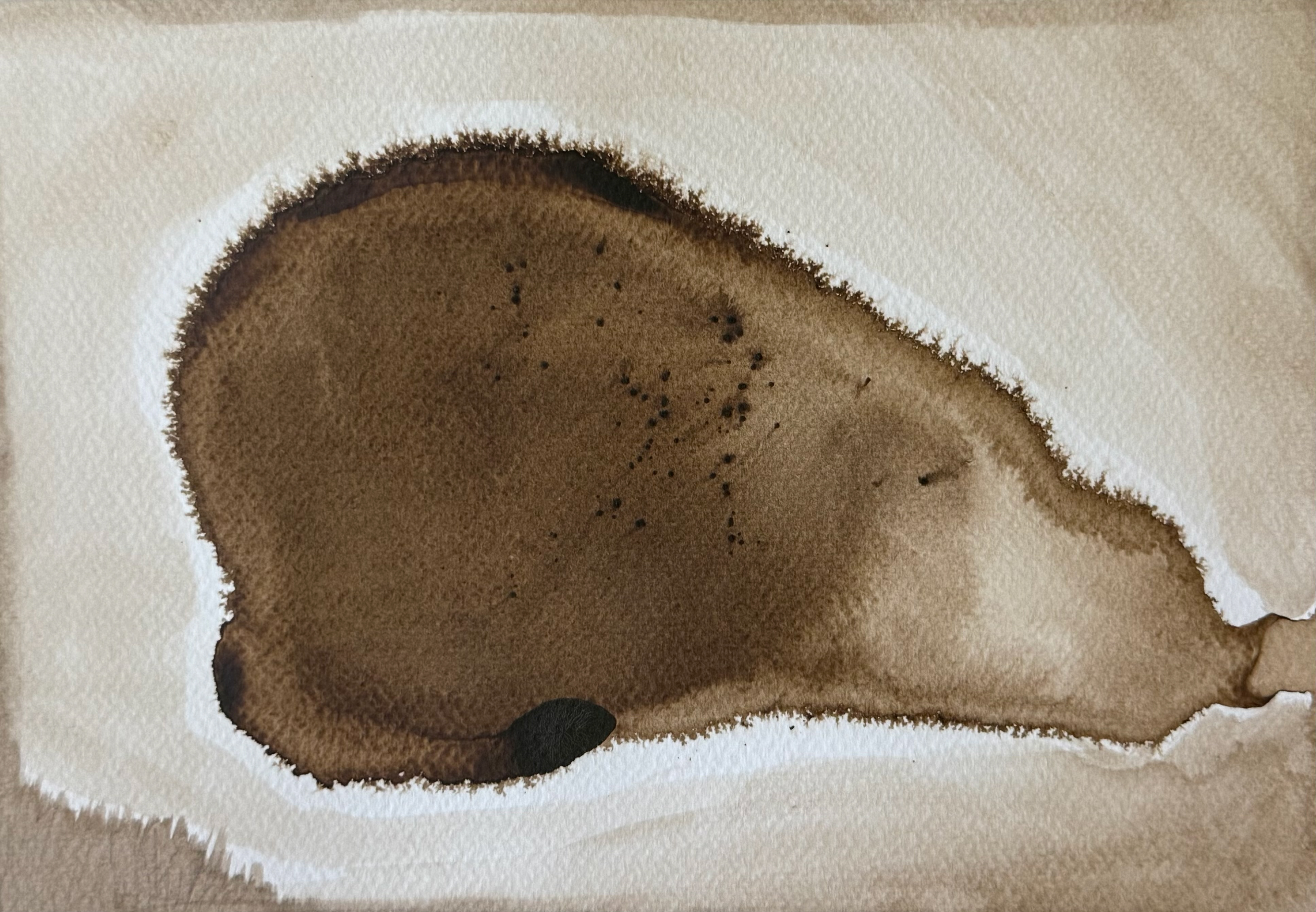 12 The Unemcuberance