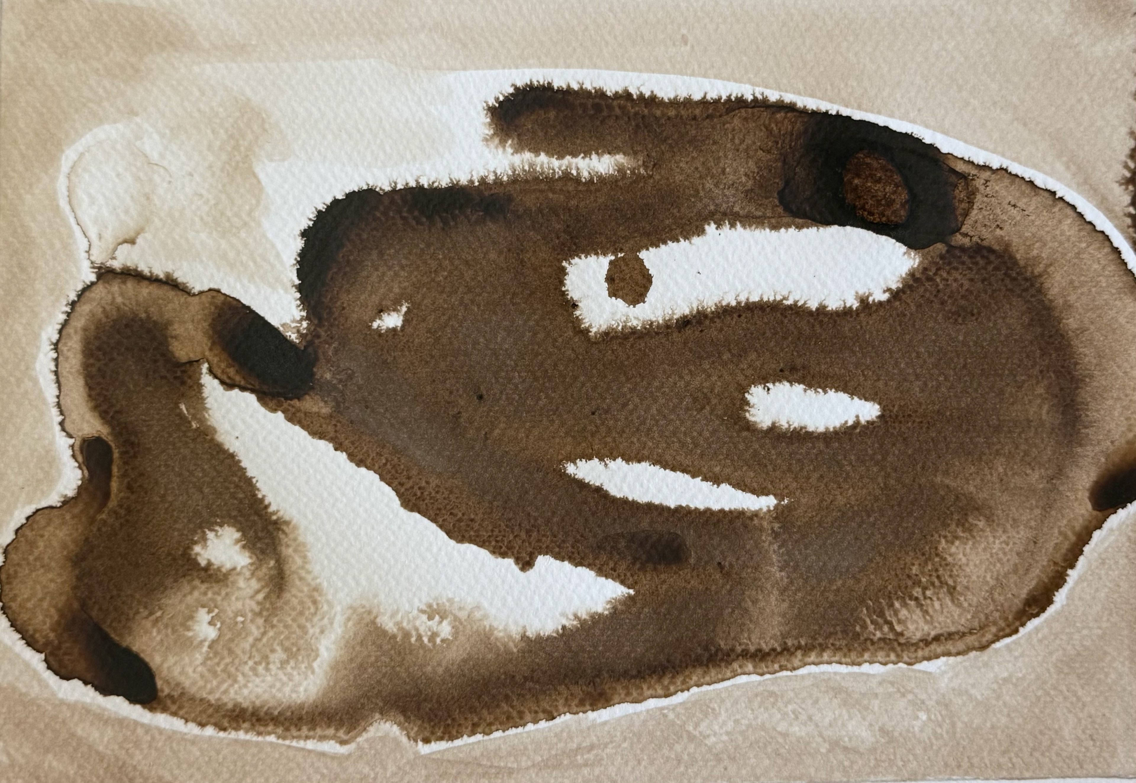 13 The Raison d’Etre