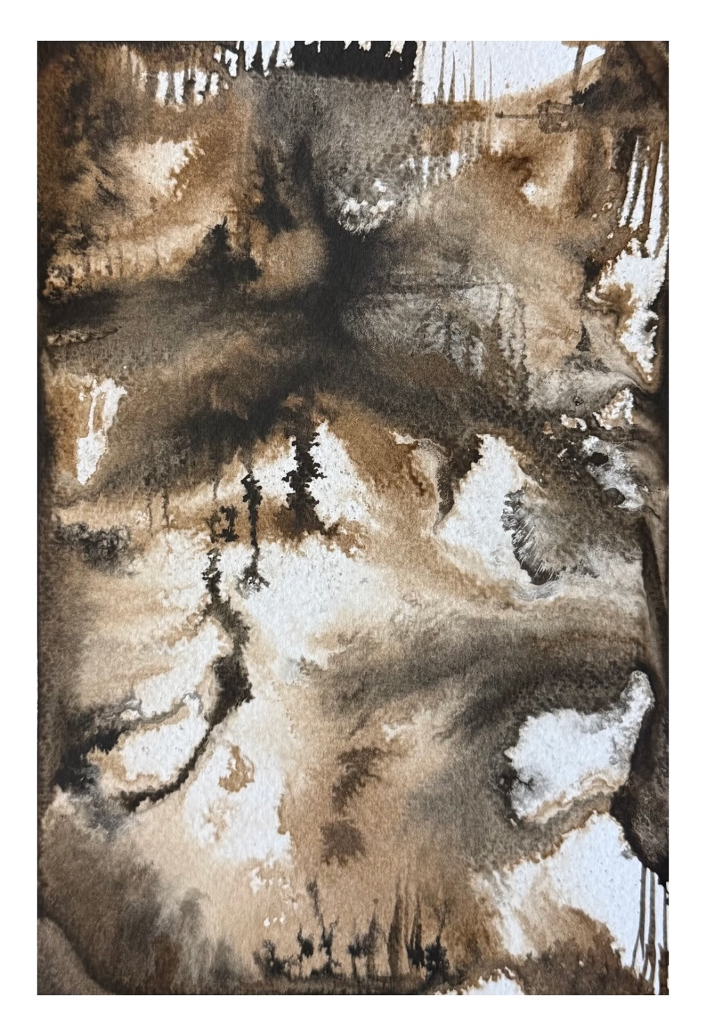 14 Underneath It All It Swims And Sways 