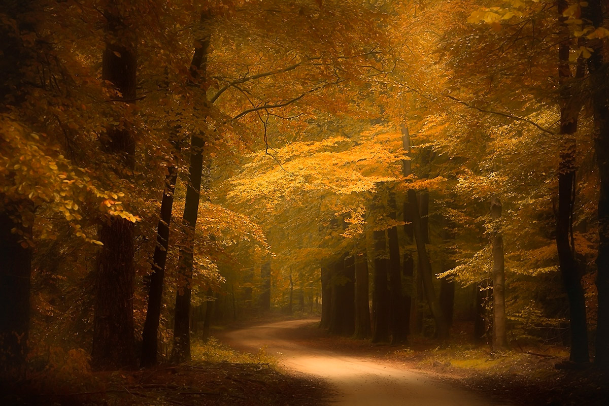 Veluwe