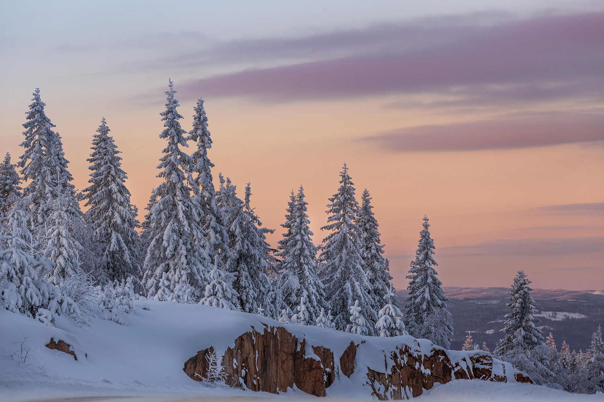 Winter Zweden Hovfjallet