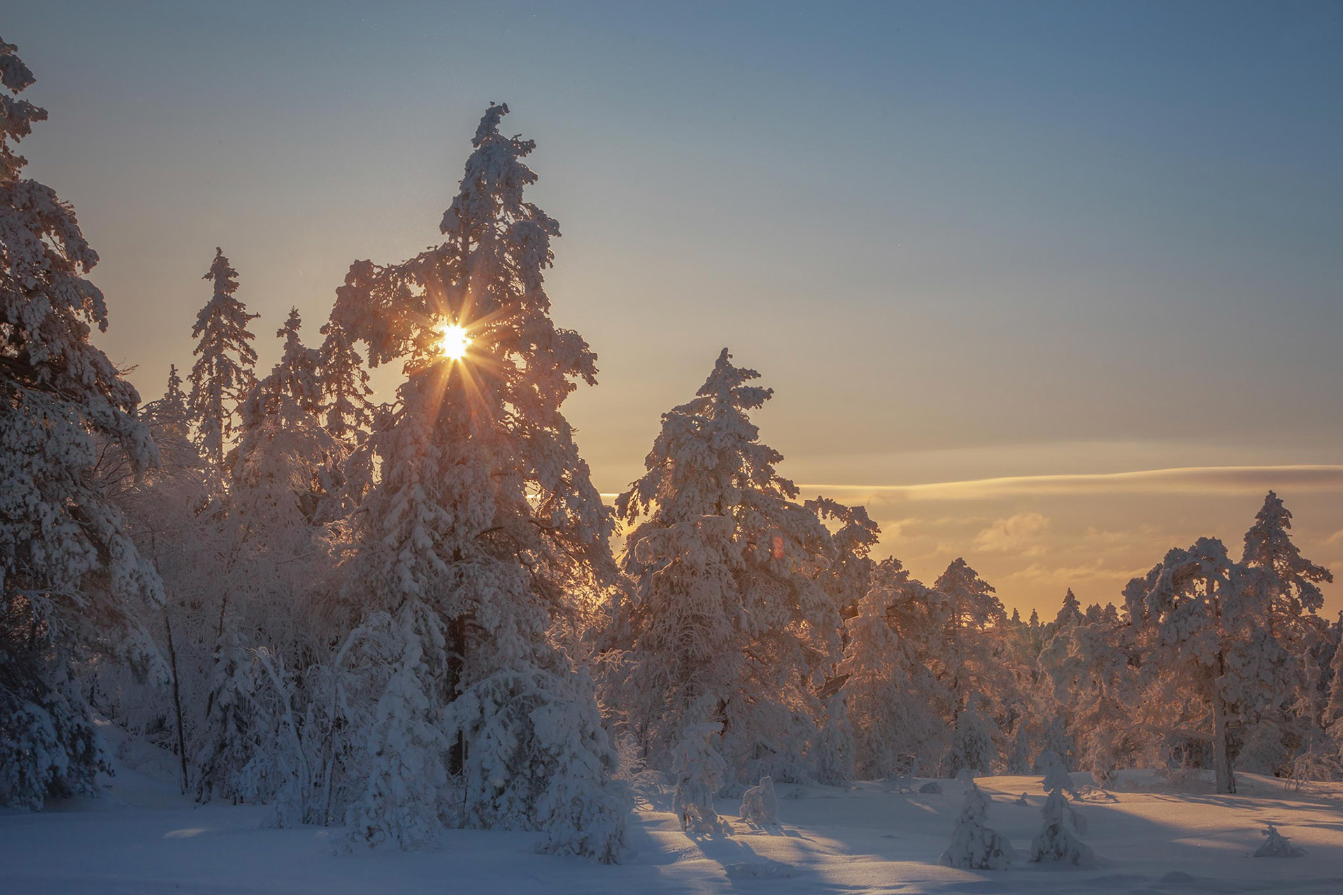 Winter Zweden Hovfjallet