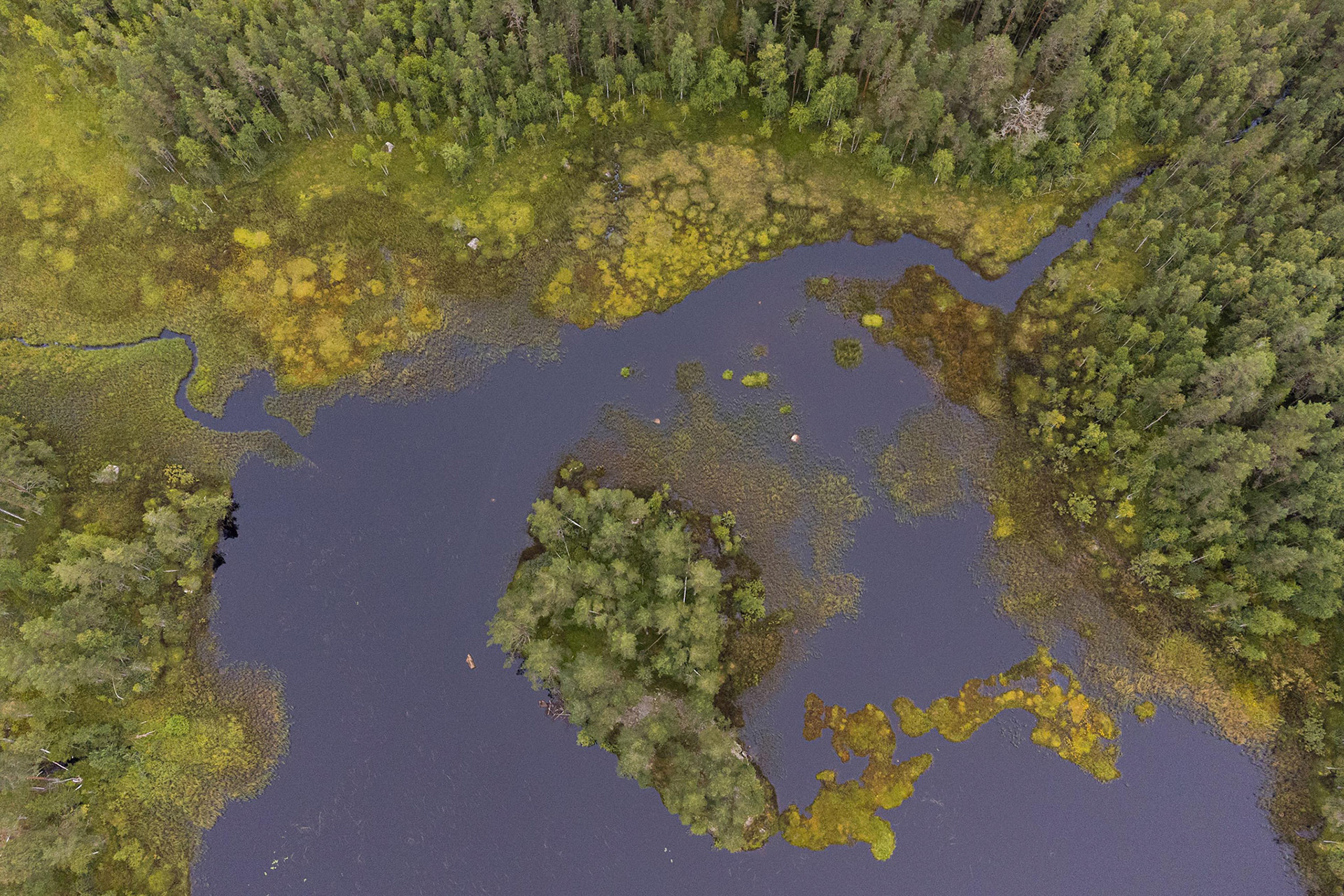 Zomer Zweden drone