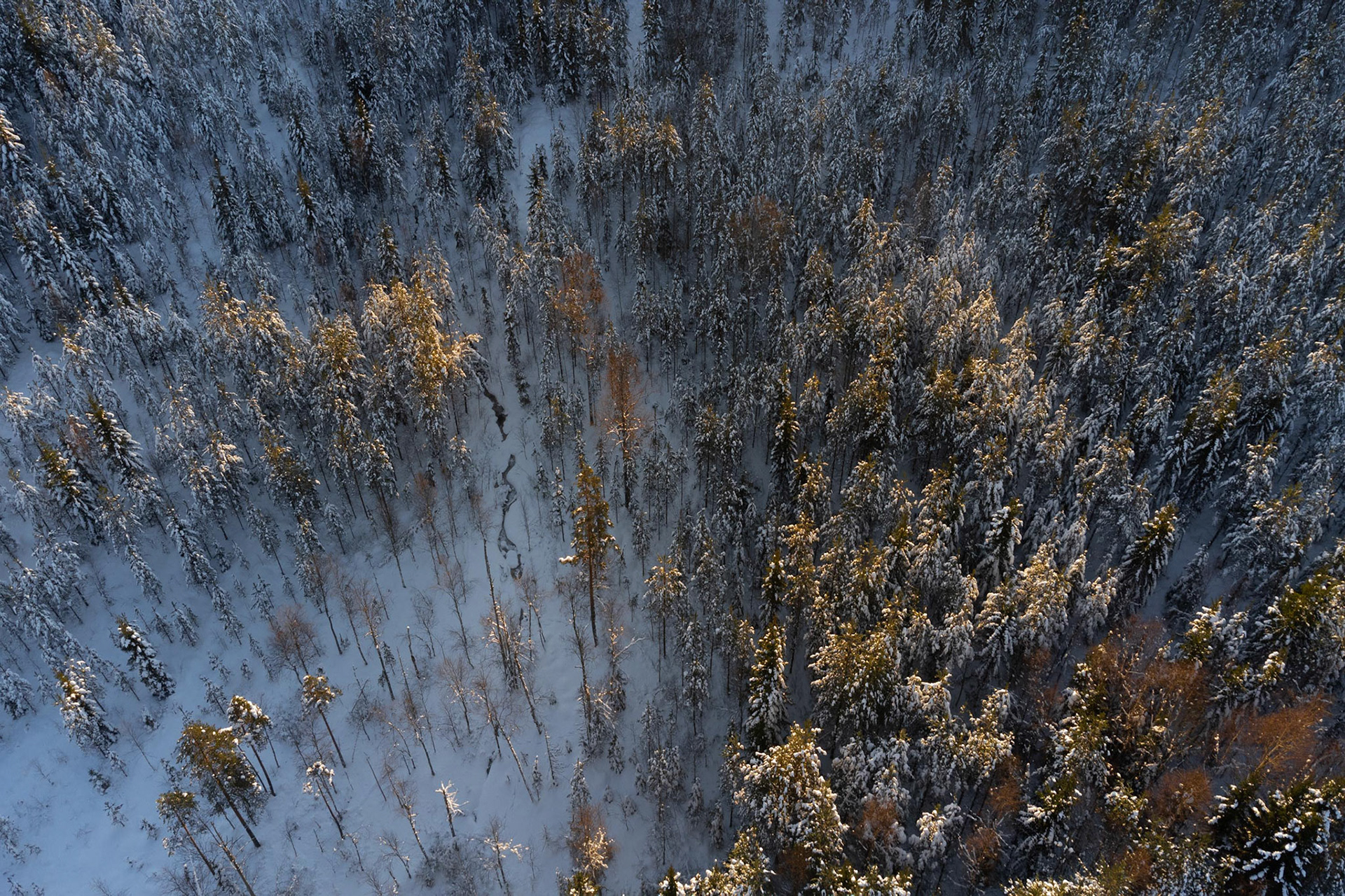 Winter Zweden drone