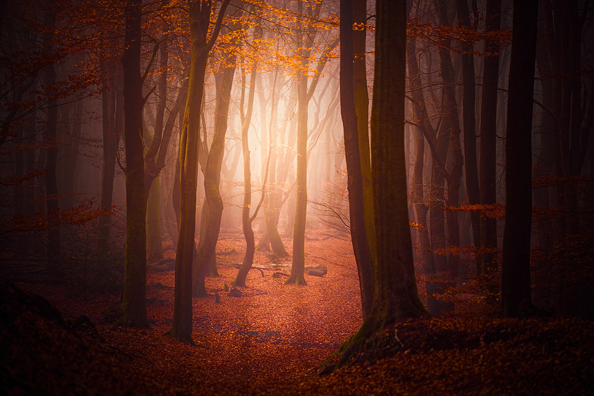 Veluwe