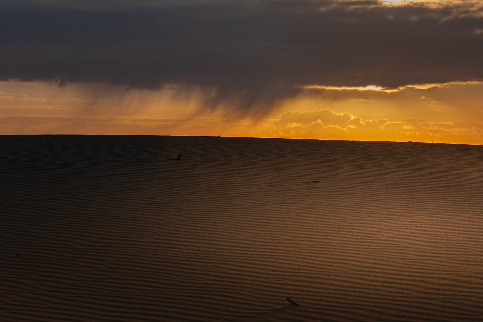 Loonse en Drunense duinen