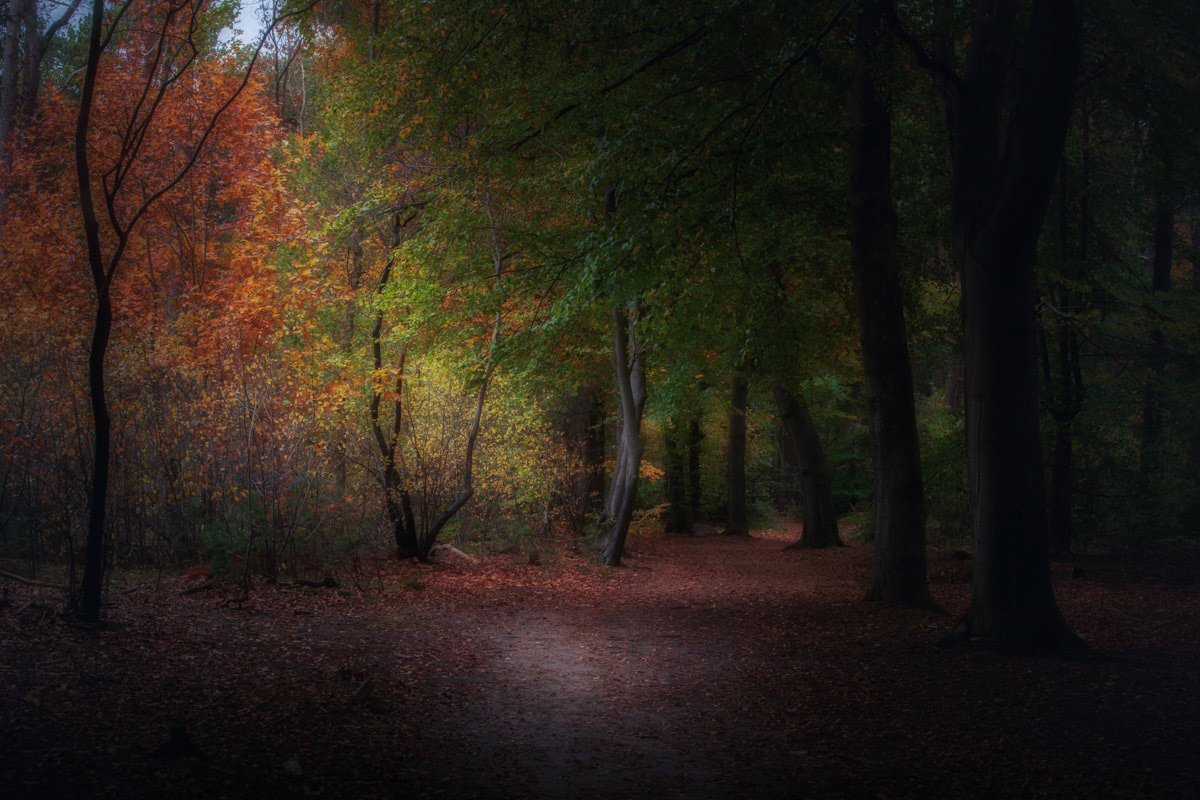 Herfst Loonsche land