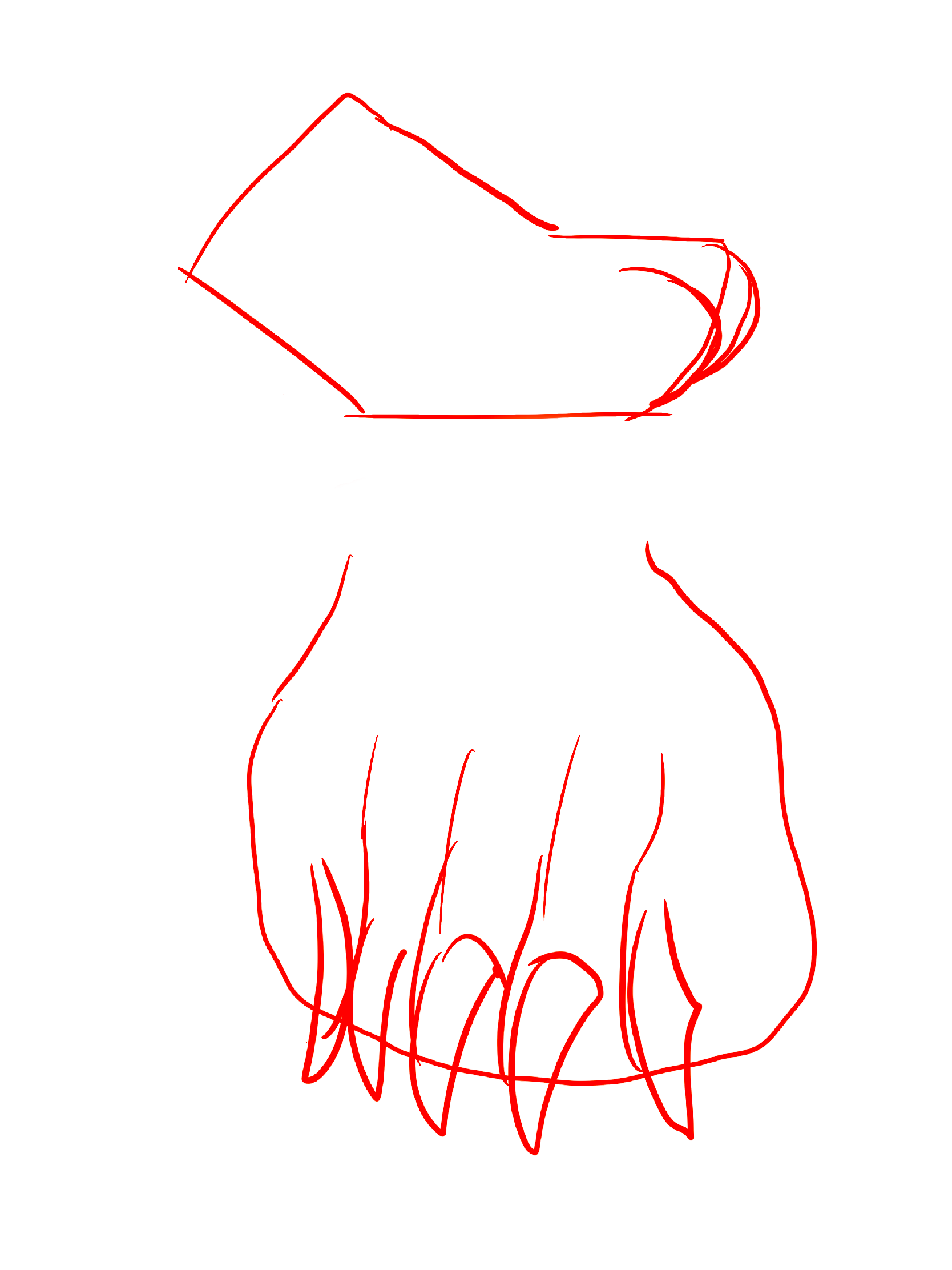 Close-up reference of bear paws
